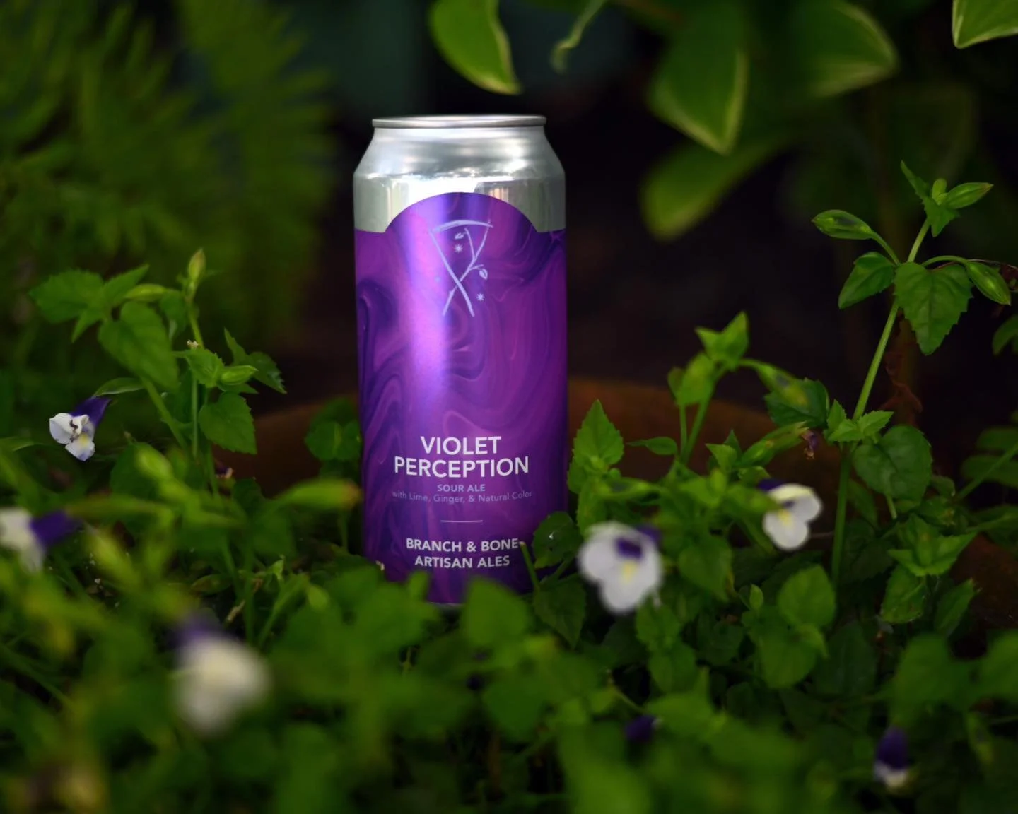 They&rsquo;re back! Now pouring in the taproom and available in 4-packs to go! 🎉

Mirage is crisp and bold with citrus bite and dank berry vibes from Citra and Mosaic hops (7% ABV).

Violet Perception returns with tart ginger, zesty lime, and that u