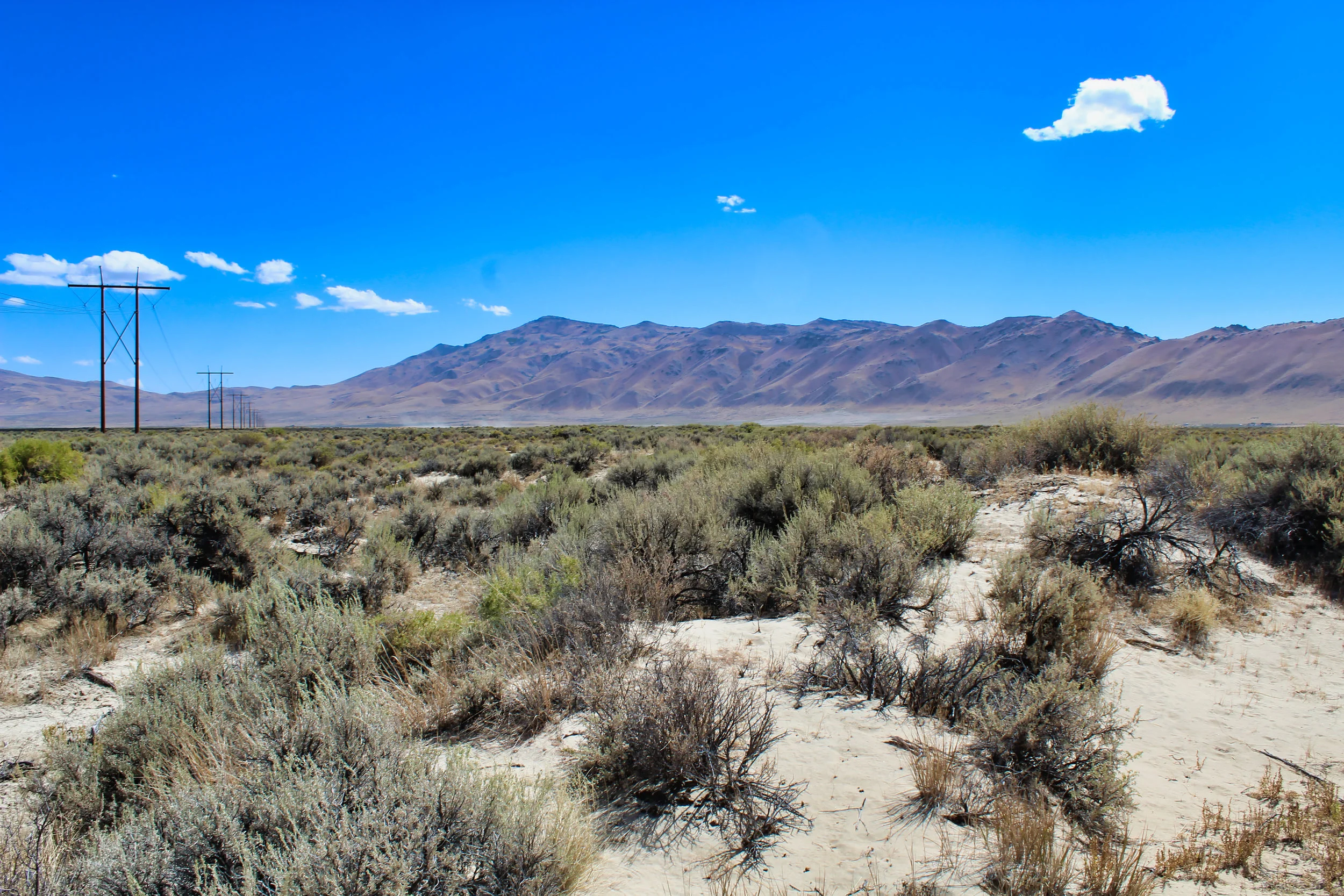 Lassen County, CA  40 Acres