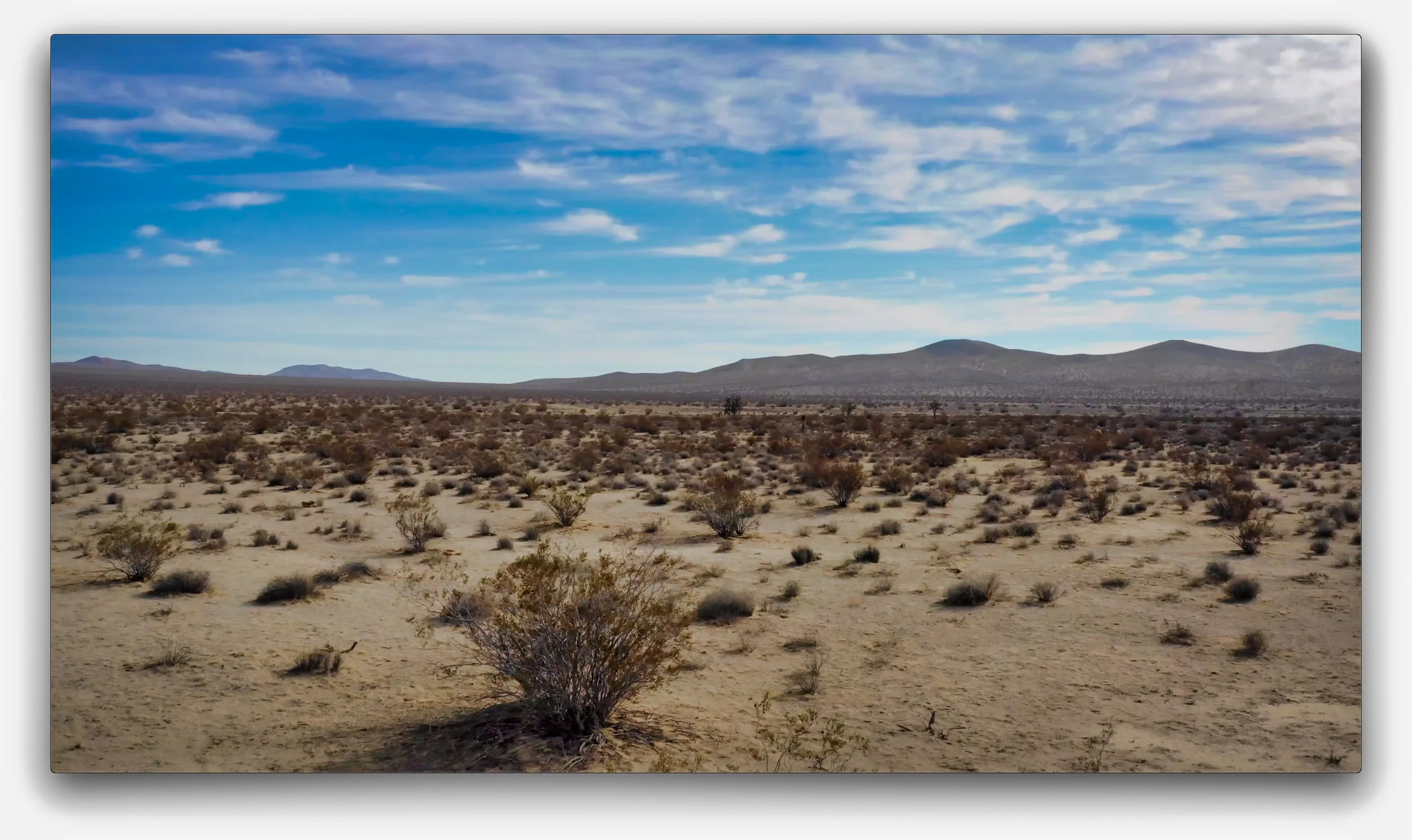 Screen Shot 2018-12-26 at 3.04.33 PM.jpeg