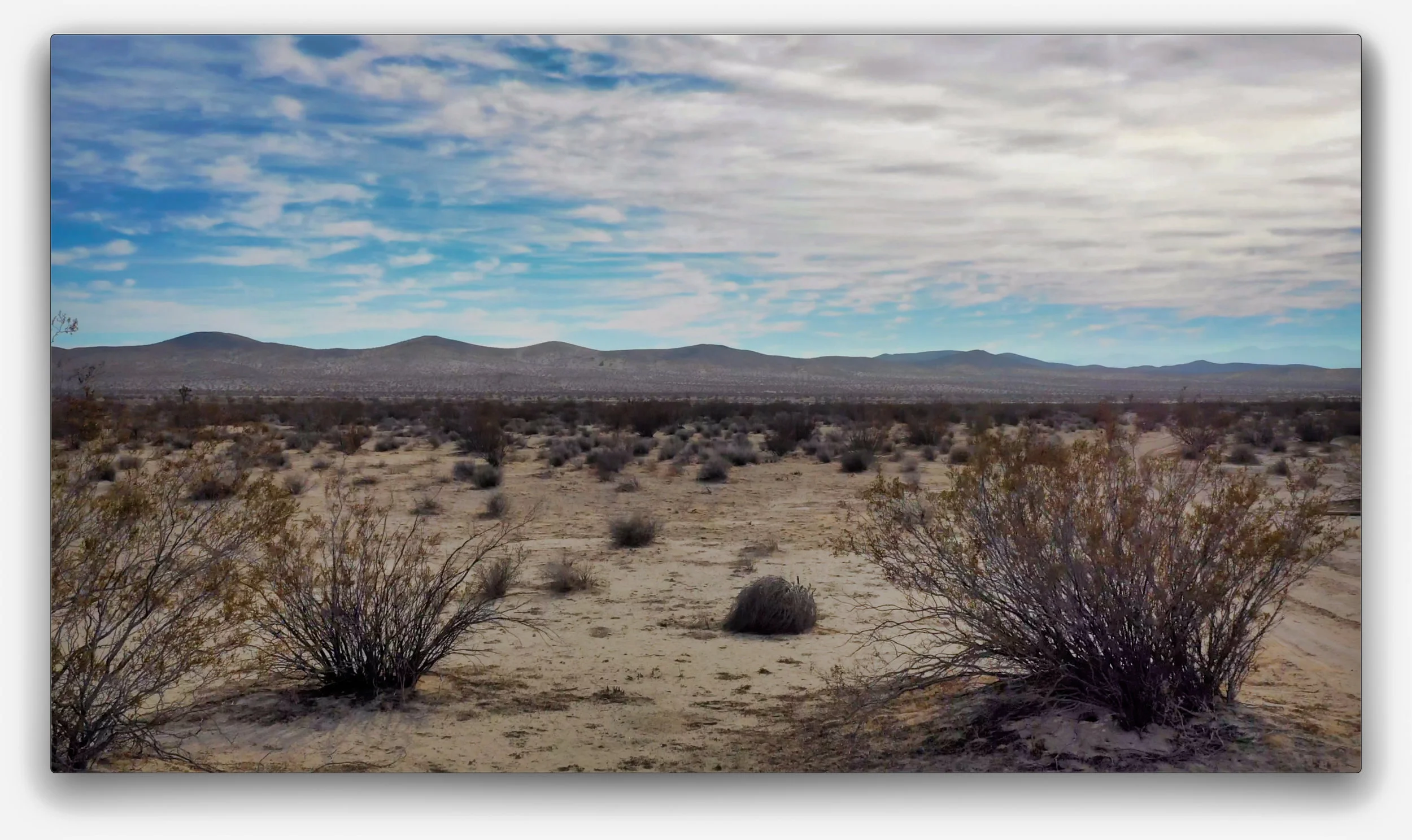 Screen Shot 2018-12-26 at 3.06.52 PM.jpeg