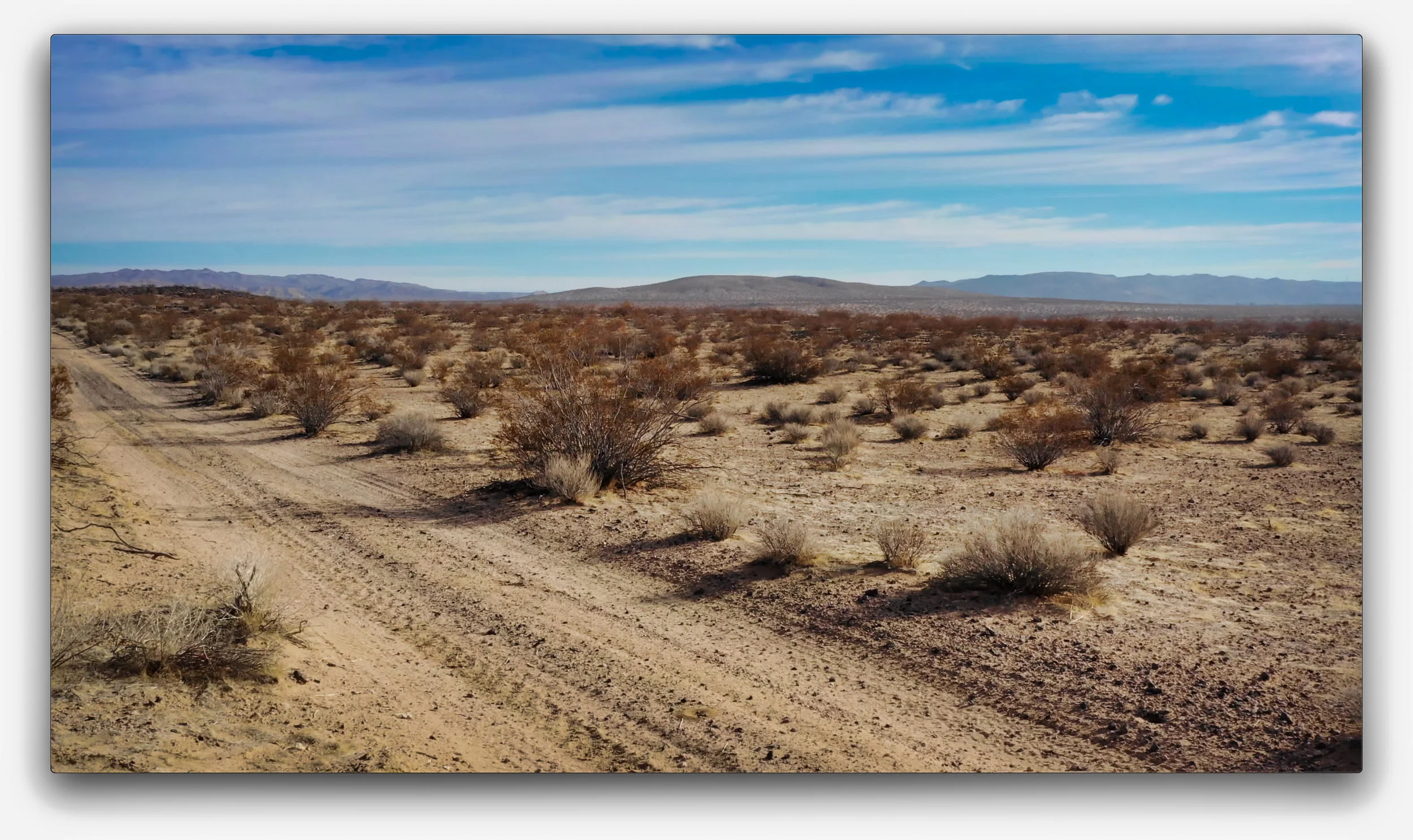 Screen Shot 2018-12-26 at 2.57.51 PM.jpeg