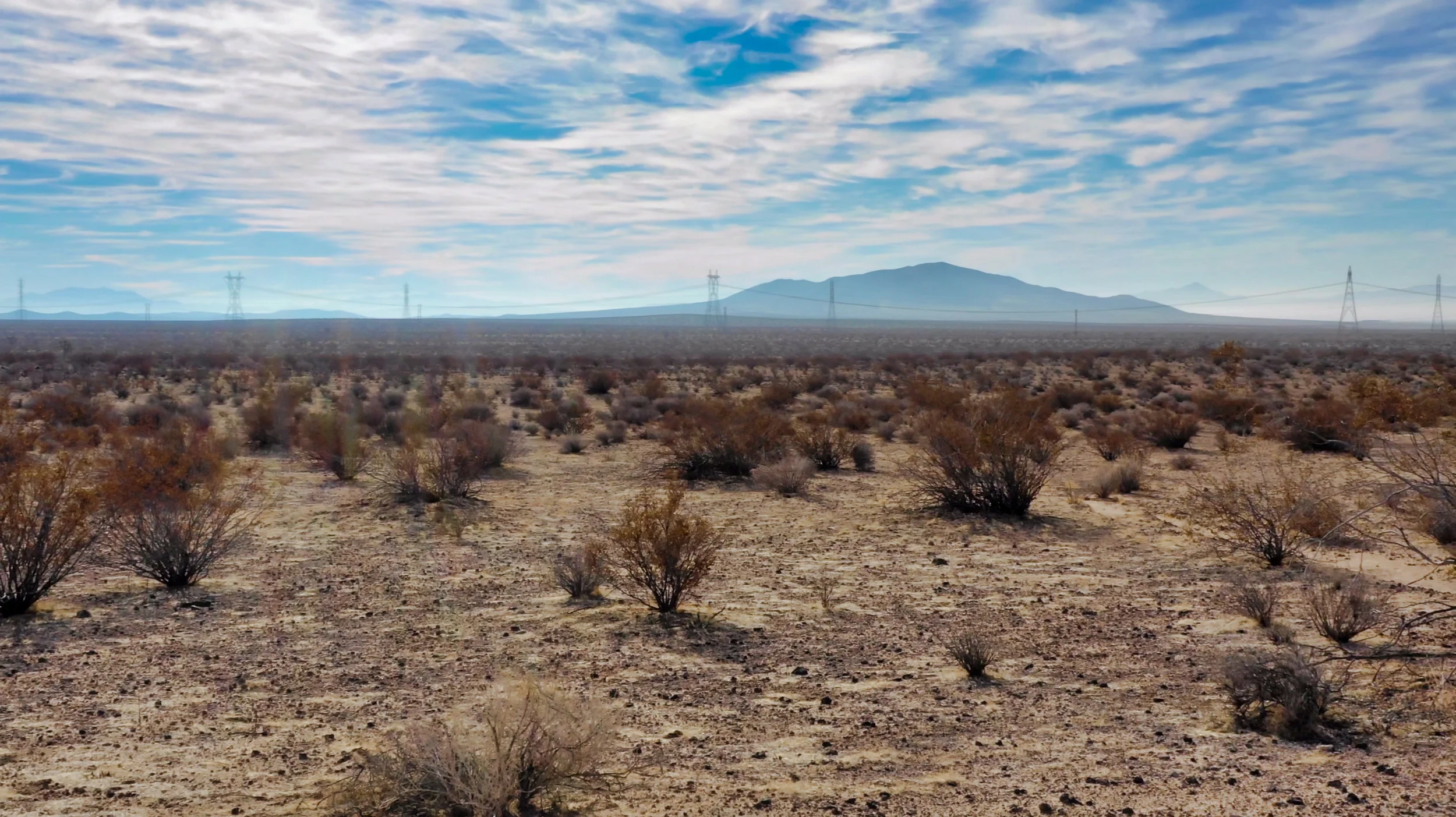 Screen Shot 2019-01-01 at 11.50.02 AM.jpeg