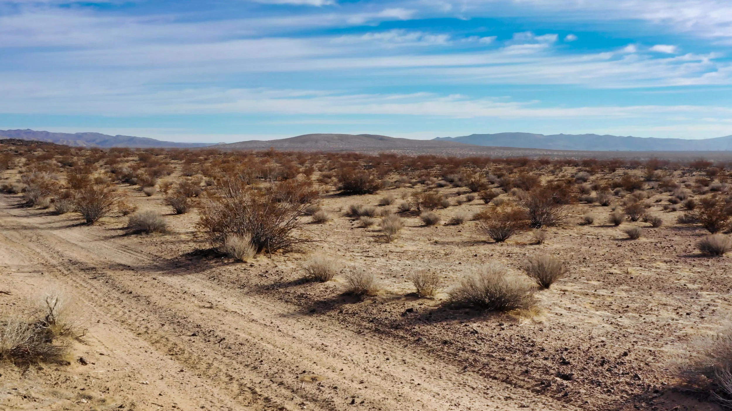 Screen Shot 2019-01-01 at 11.50.32 AM.jpeg