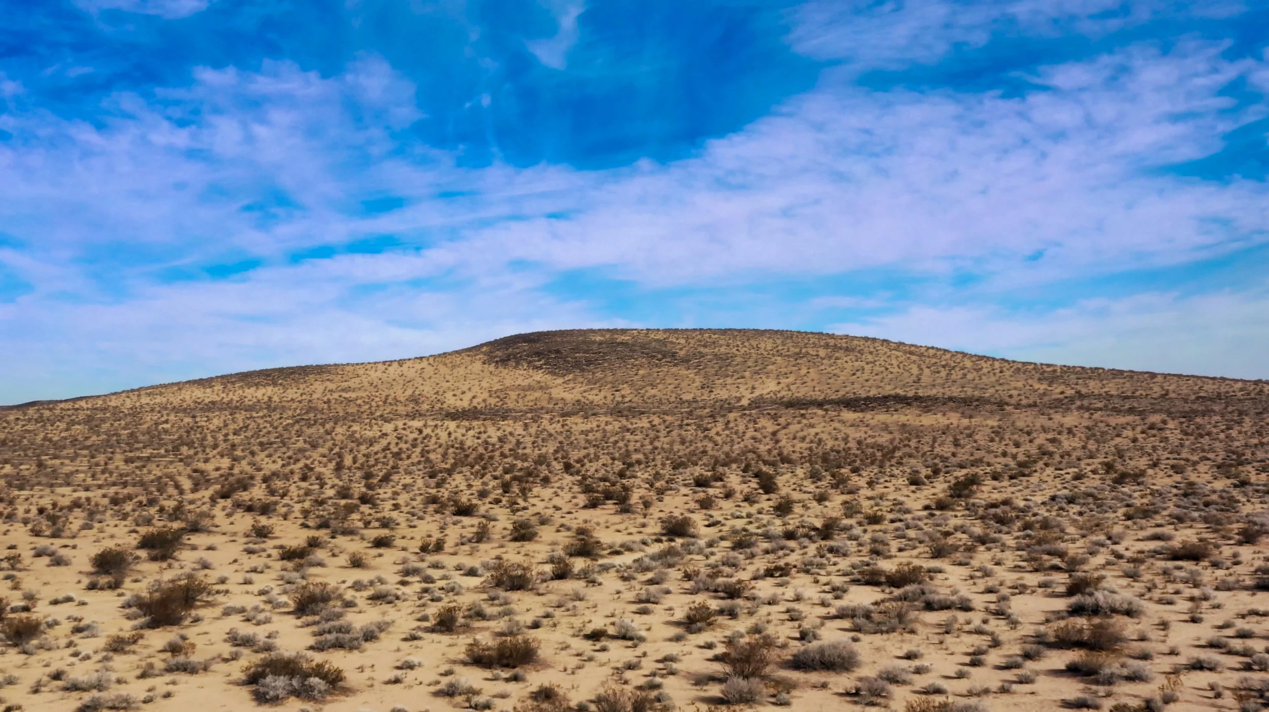 Screen Shot 2019-01-01 at 11.51.53 AM.jpeg