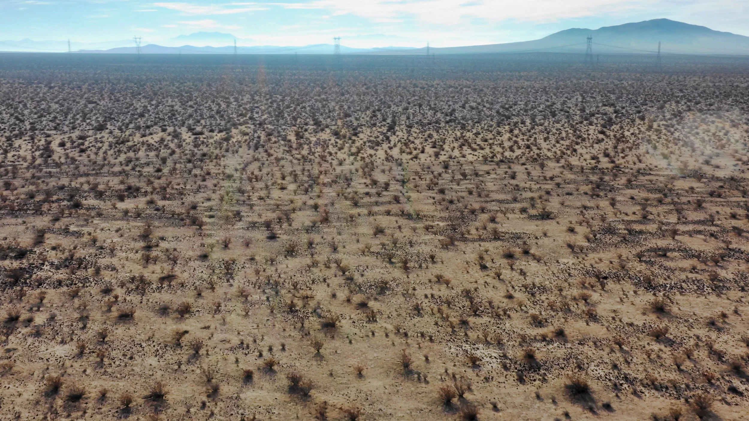 Screen Shot 2019-01-01 at 11.52.31 AM.jpeg