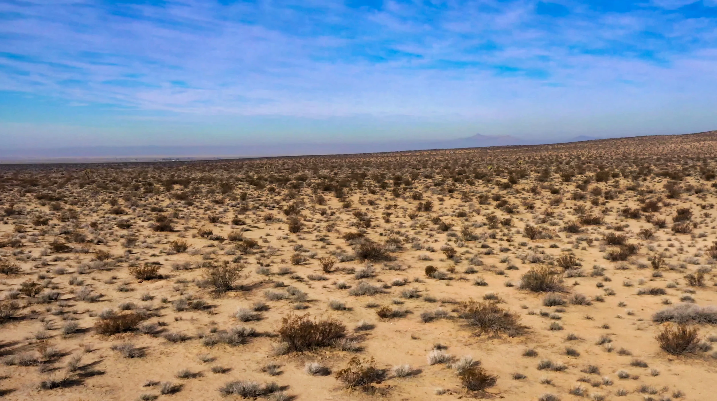 Screen Shot 2019-01-01 at 11.53.12 AM.jpeg