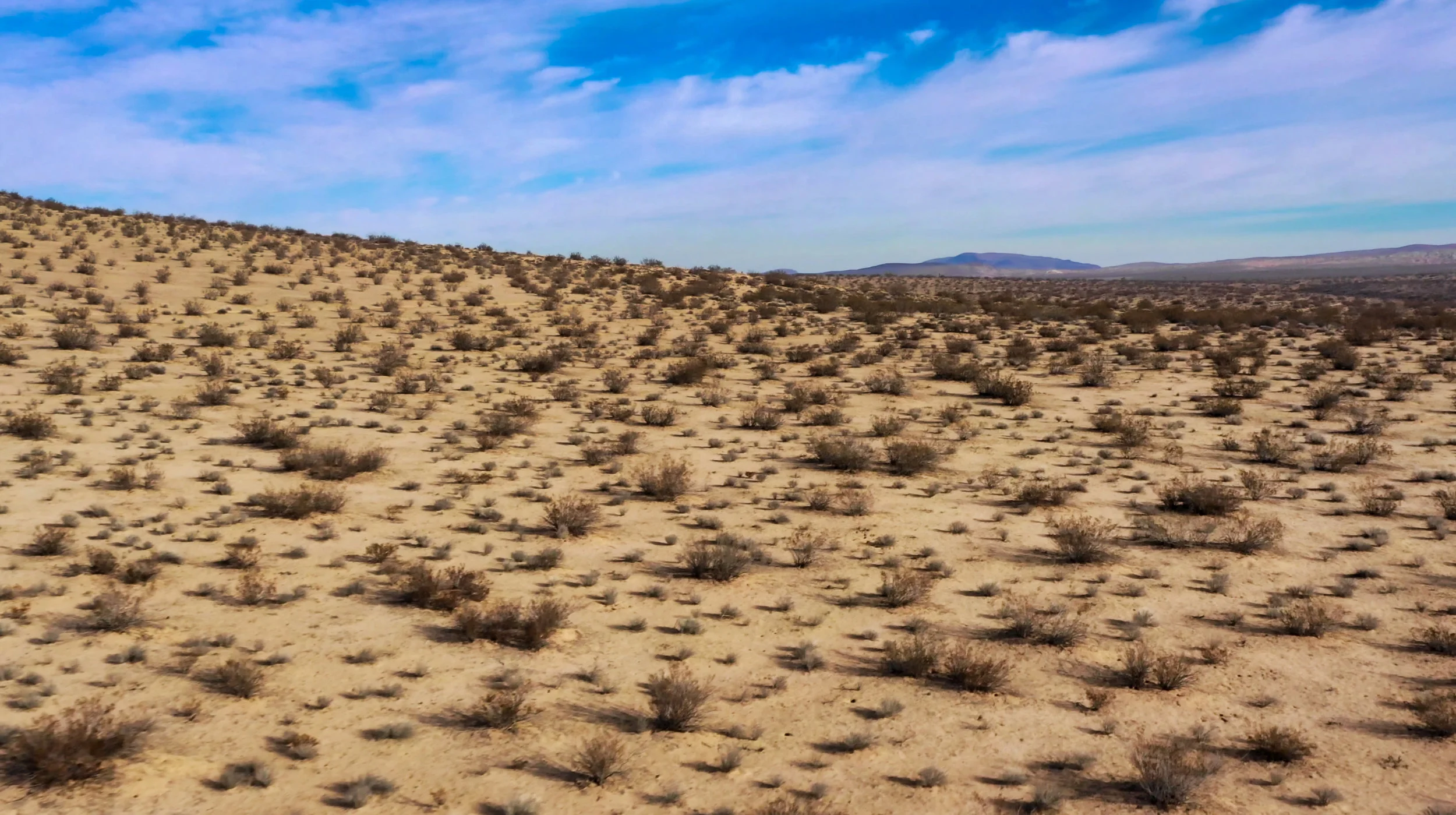 Screen Shot 2019-01-01 at 11.54.21 AM.jpeg