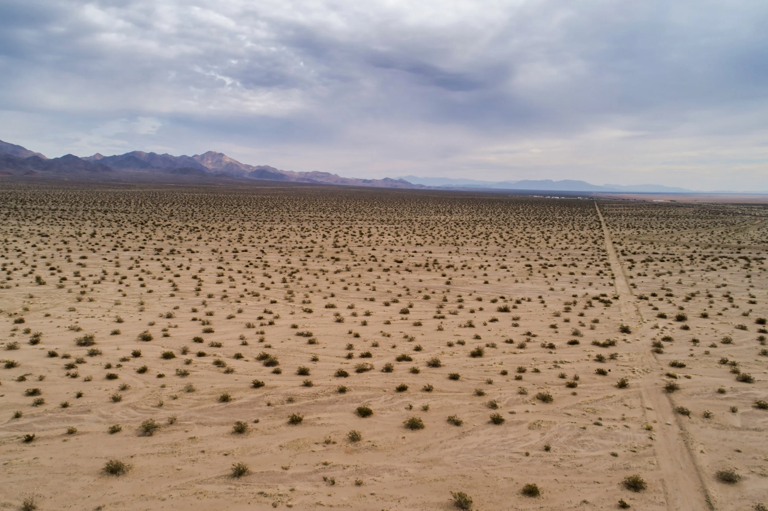 0009_Amboy_02_20_19.jpeg