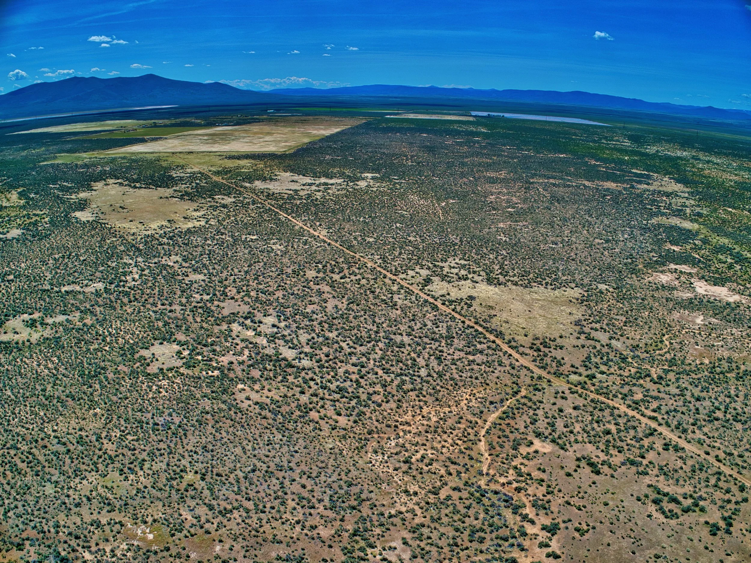 DJI_0396.jpeg