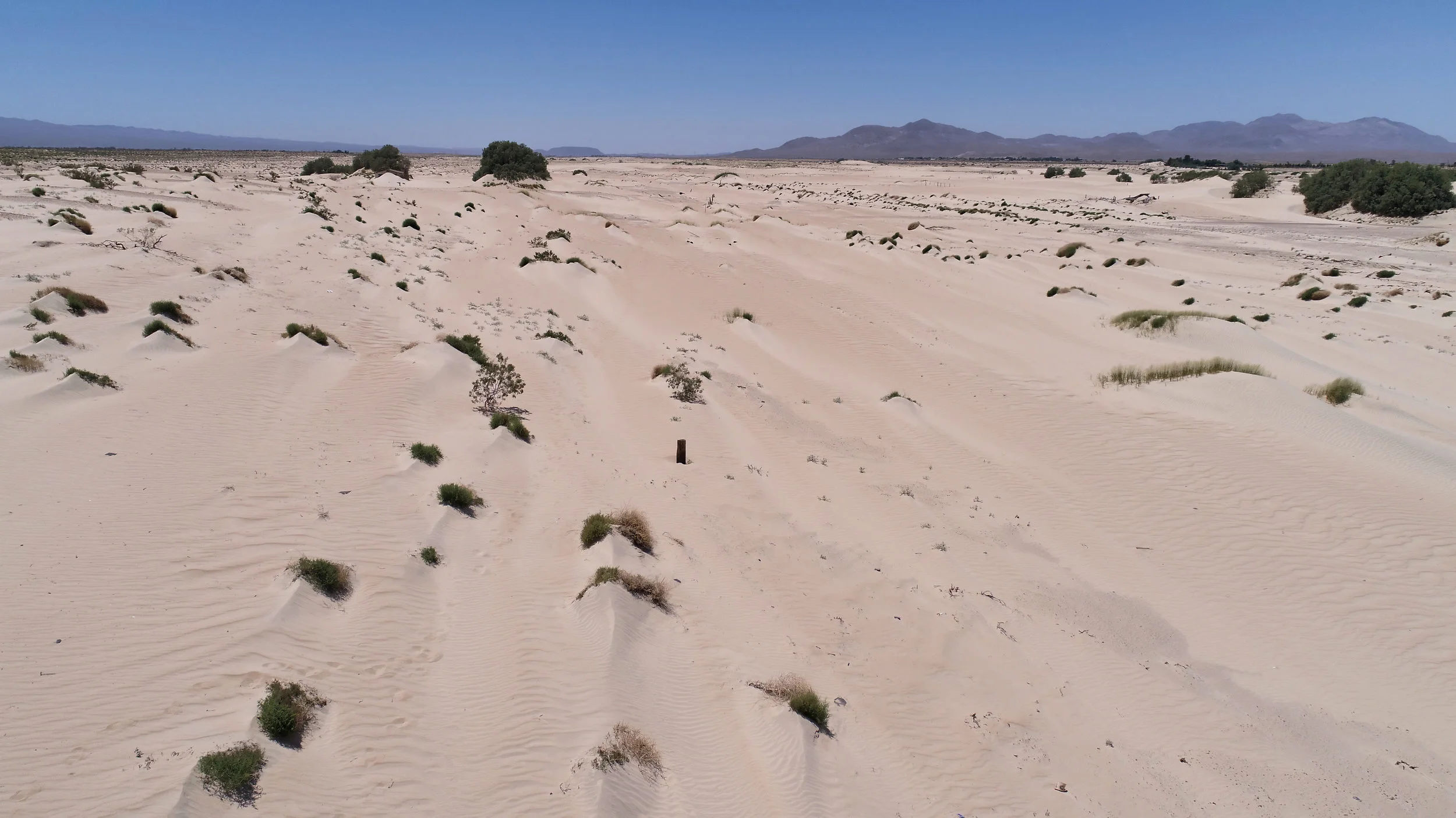 DJI_0025.jpeg