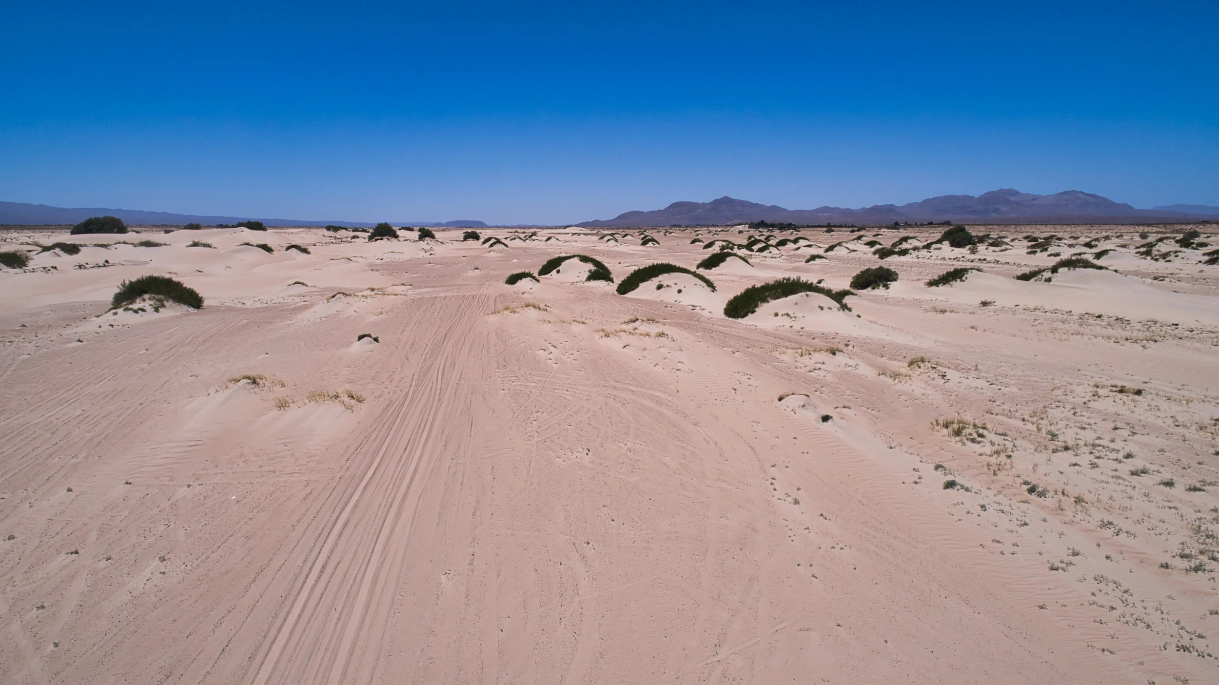 DJI_0052.jpeg