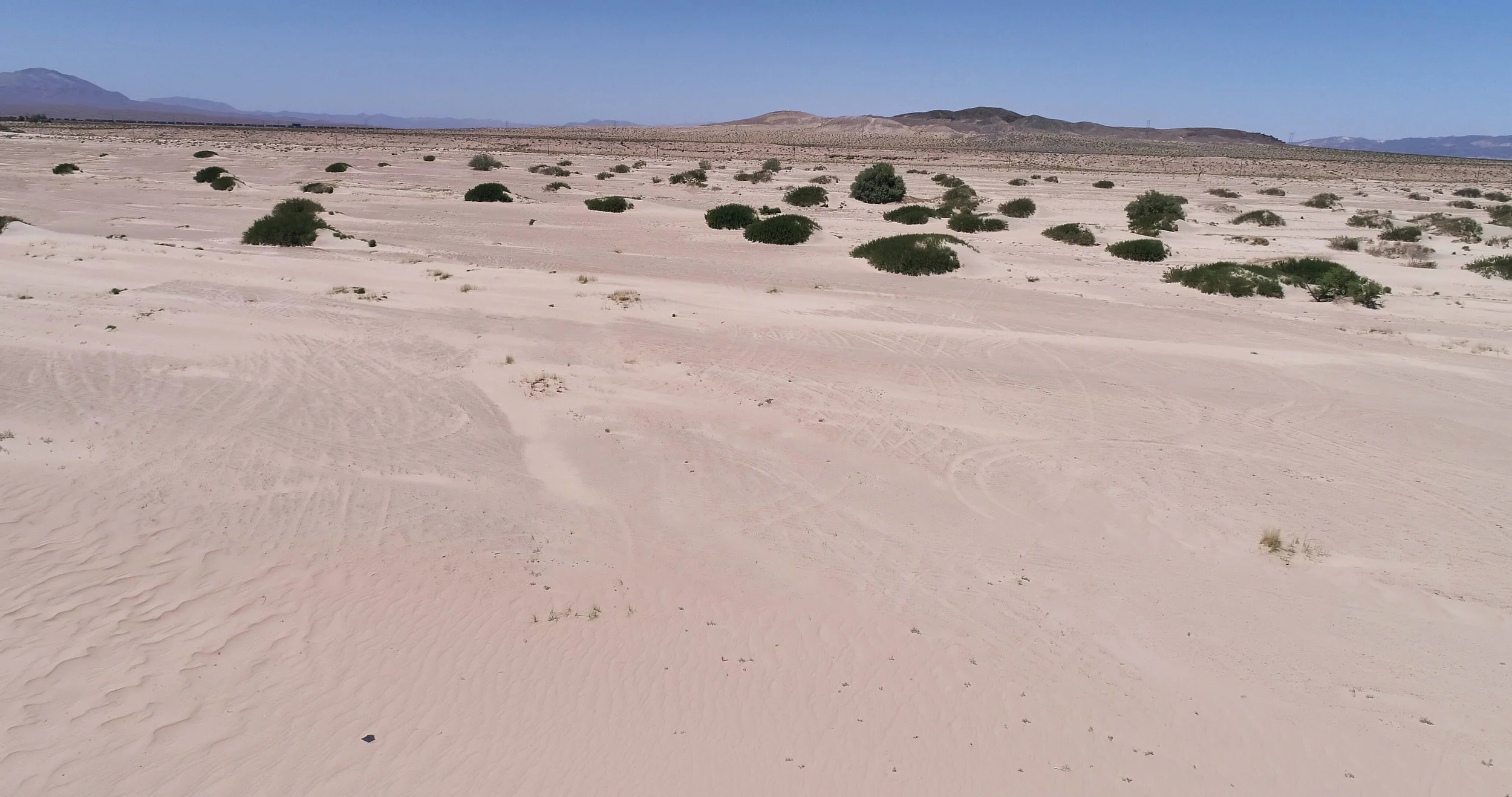 DJI_0091.jpeg