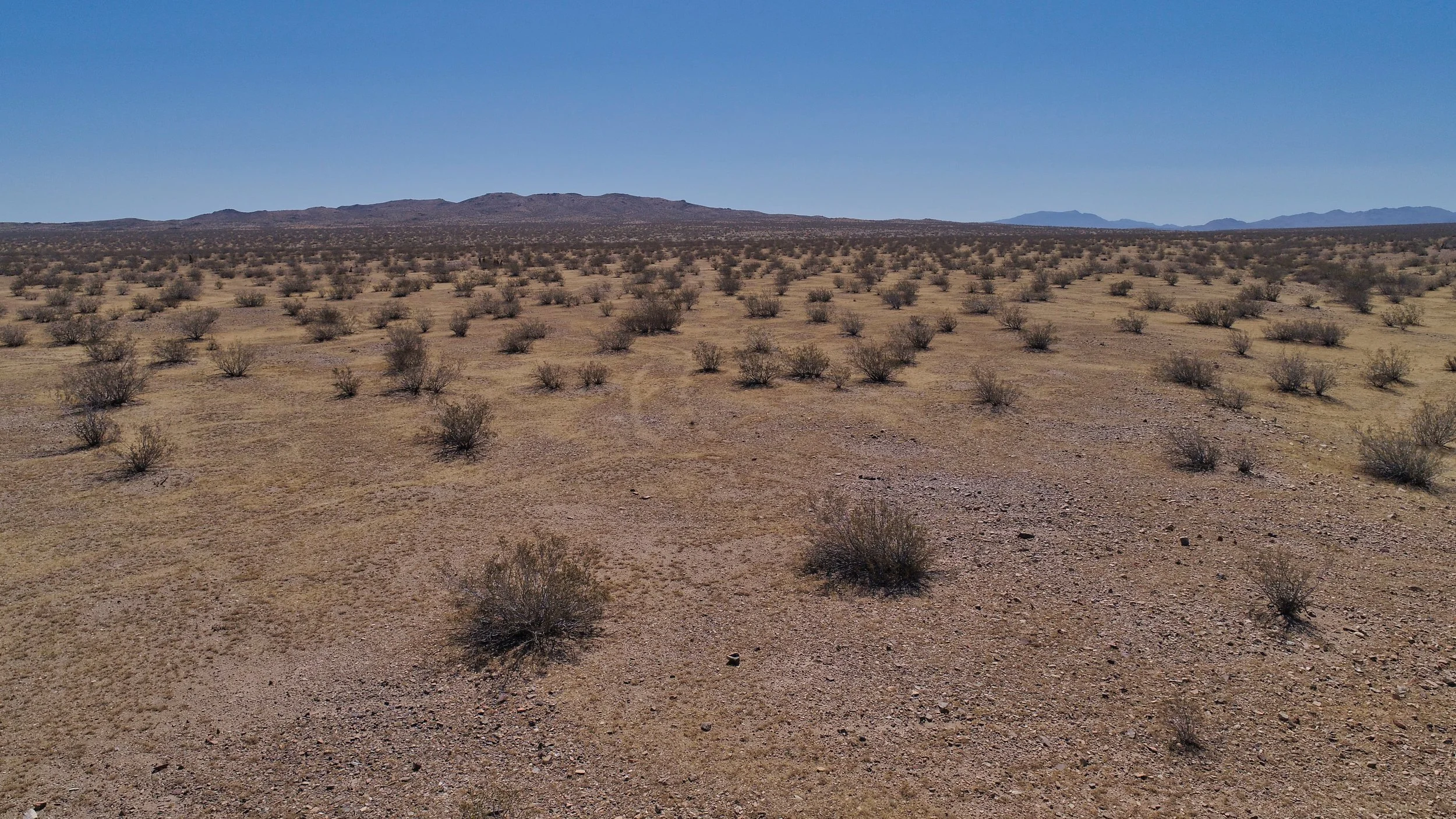 DJI_0034.jpeg