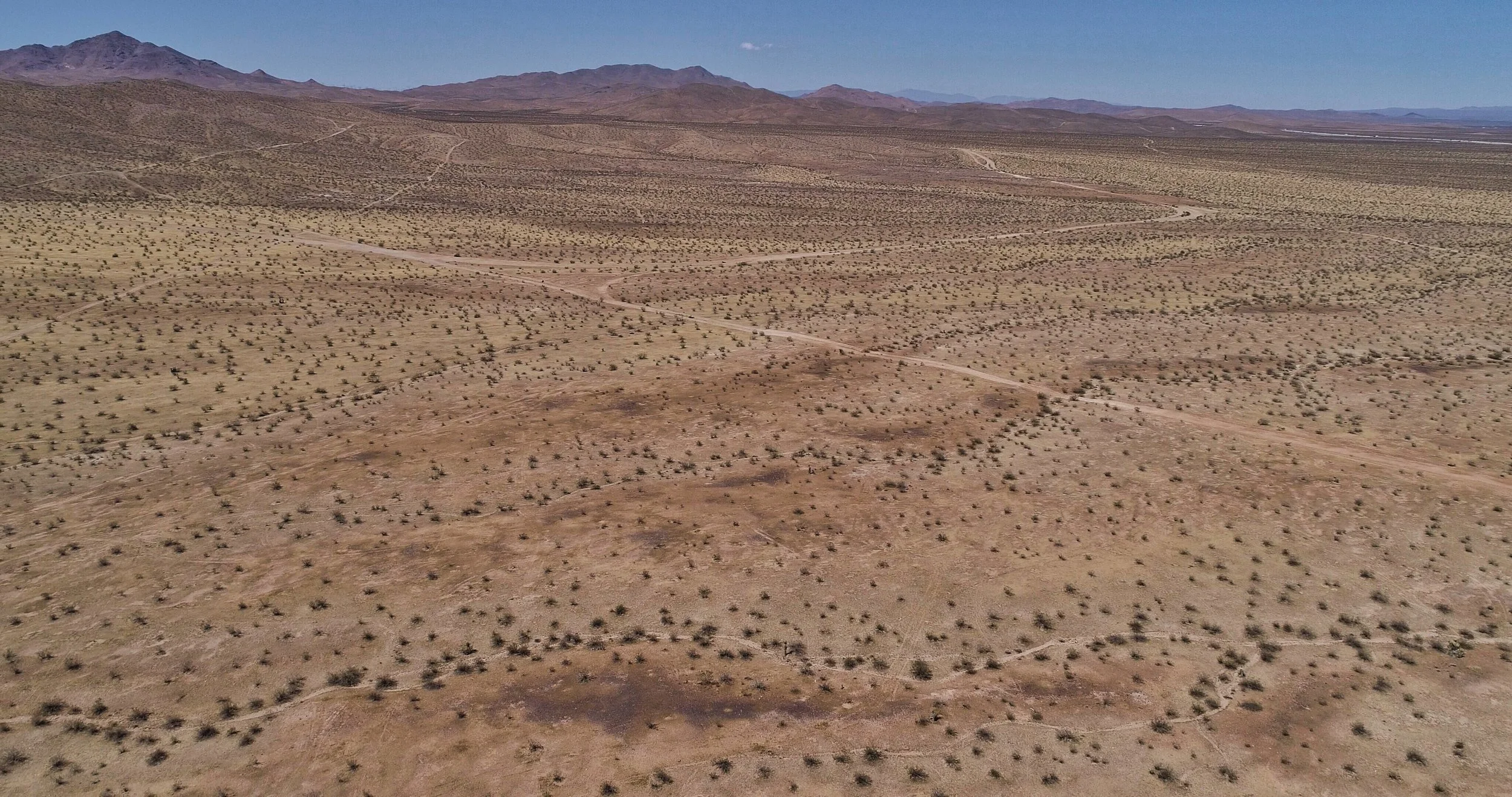 DJI_0065.jpeg