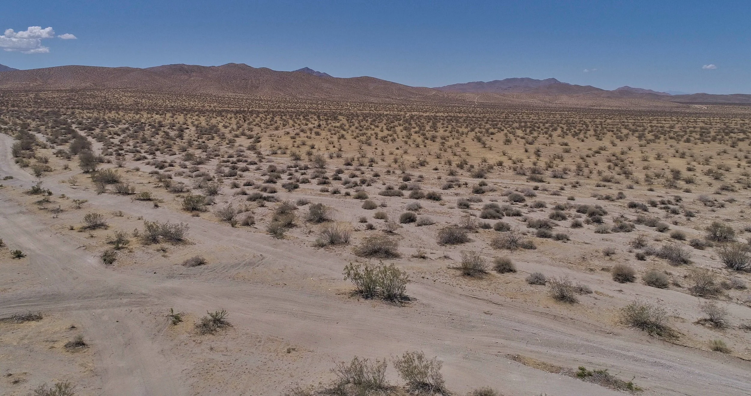 DJI_0123.jpeg