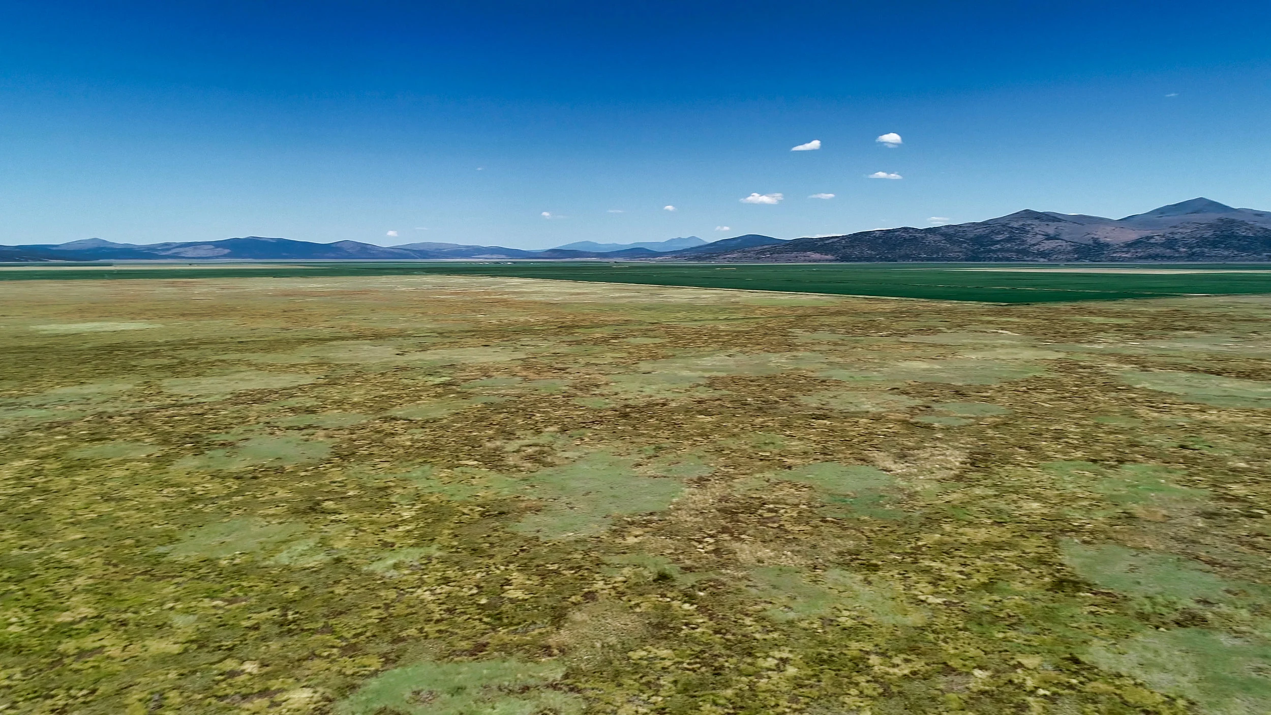 Lassen County Hemp Farm Paradise 20.2 Acres