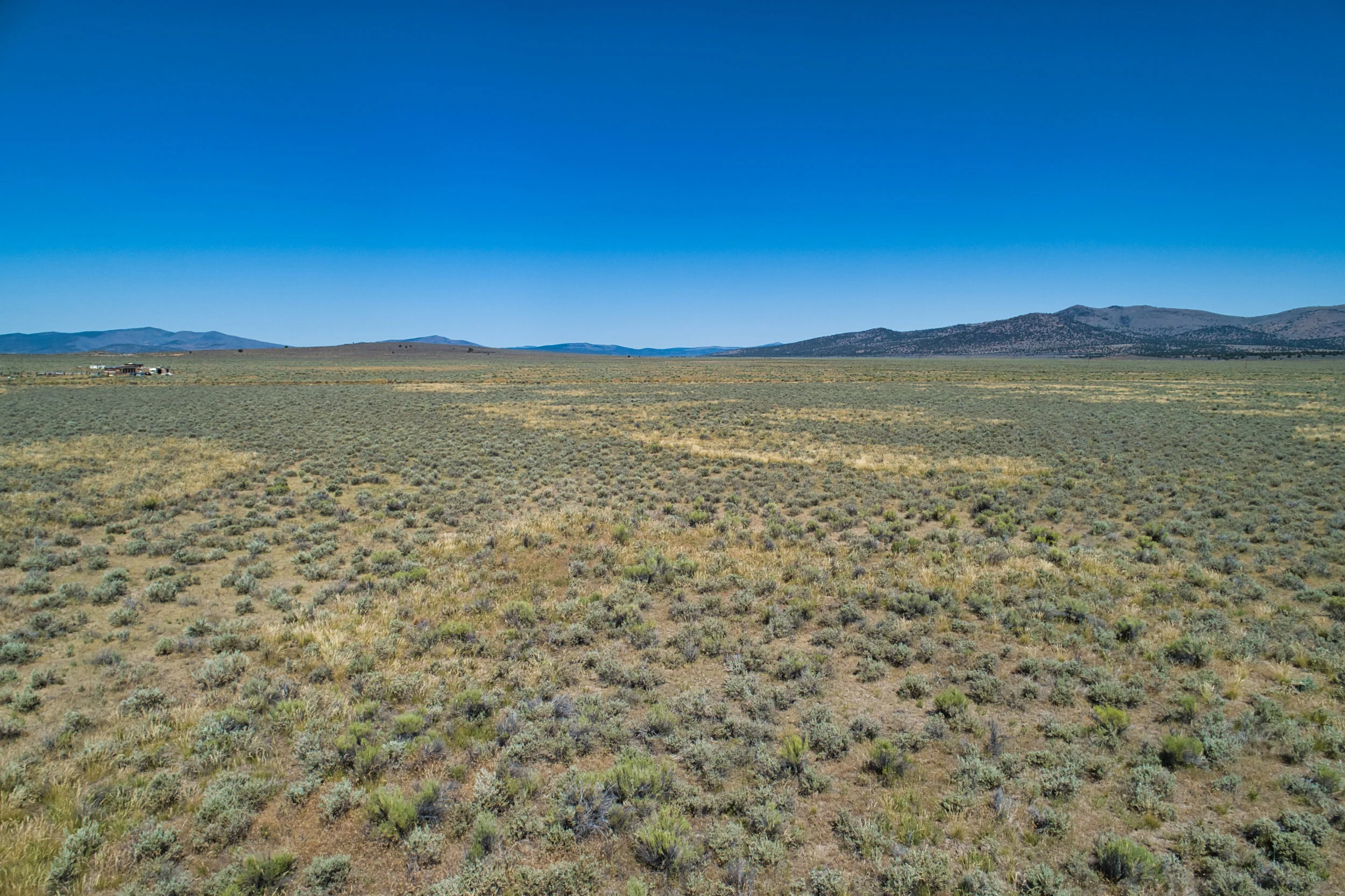 DJI_0066.jpeg