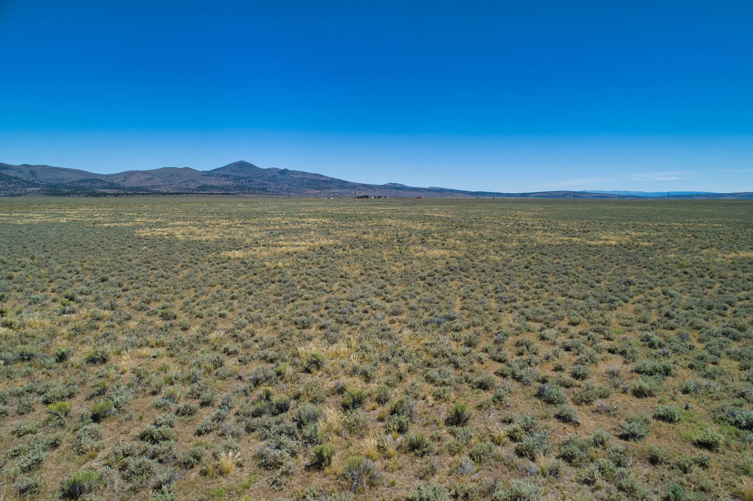DJI_0065.jpeg