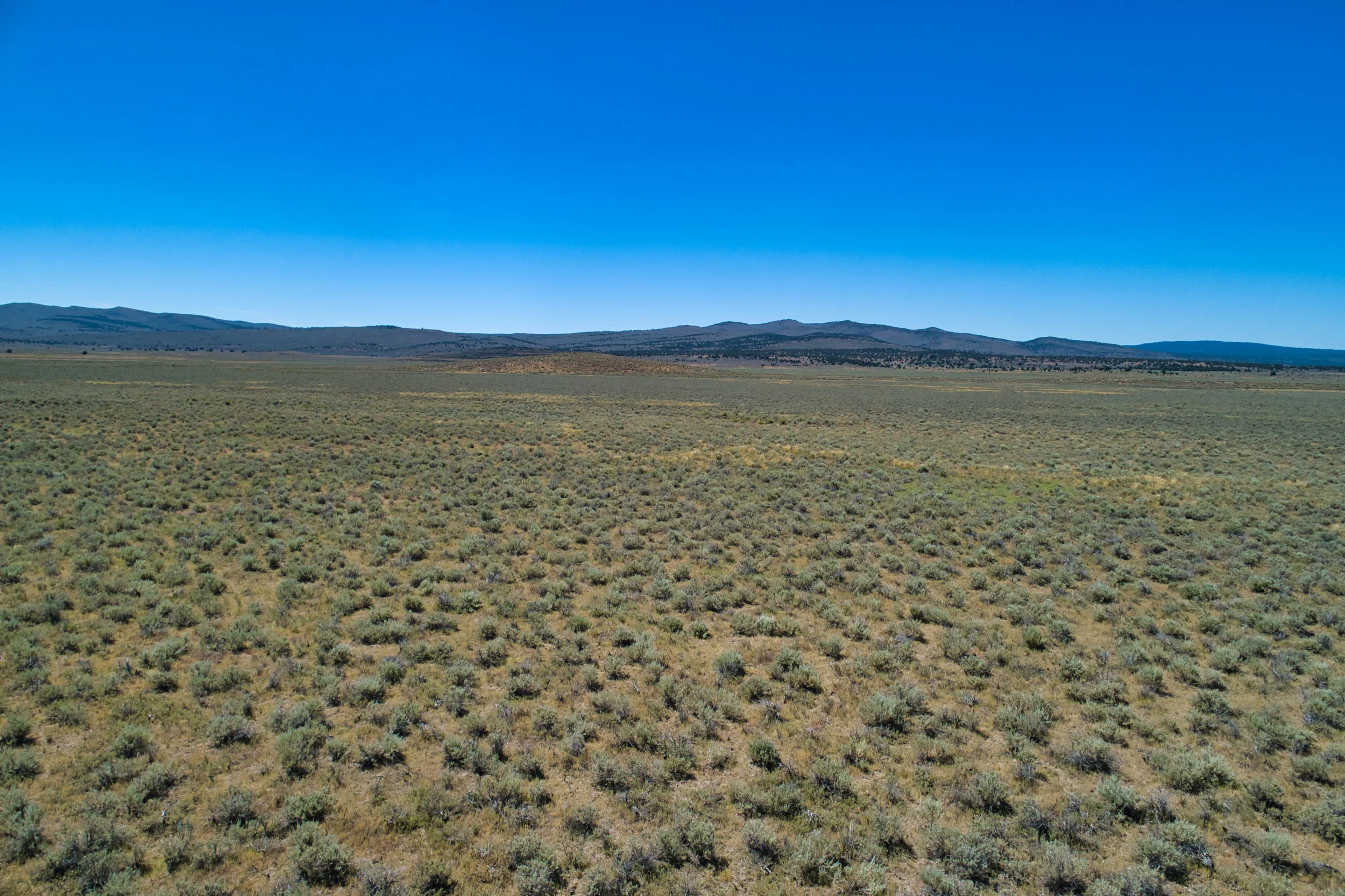 DJI_0063.jpeg