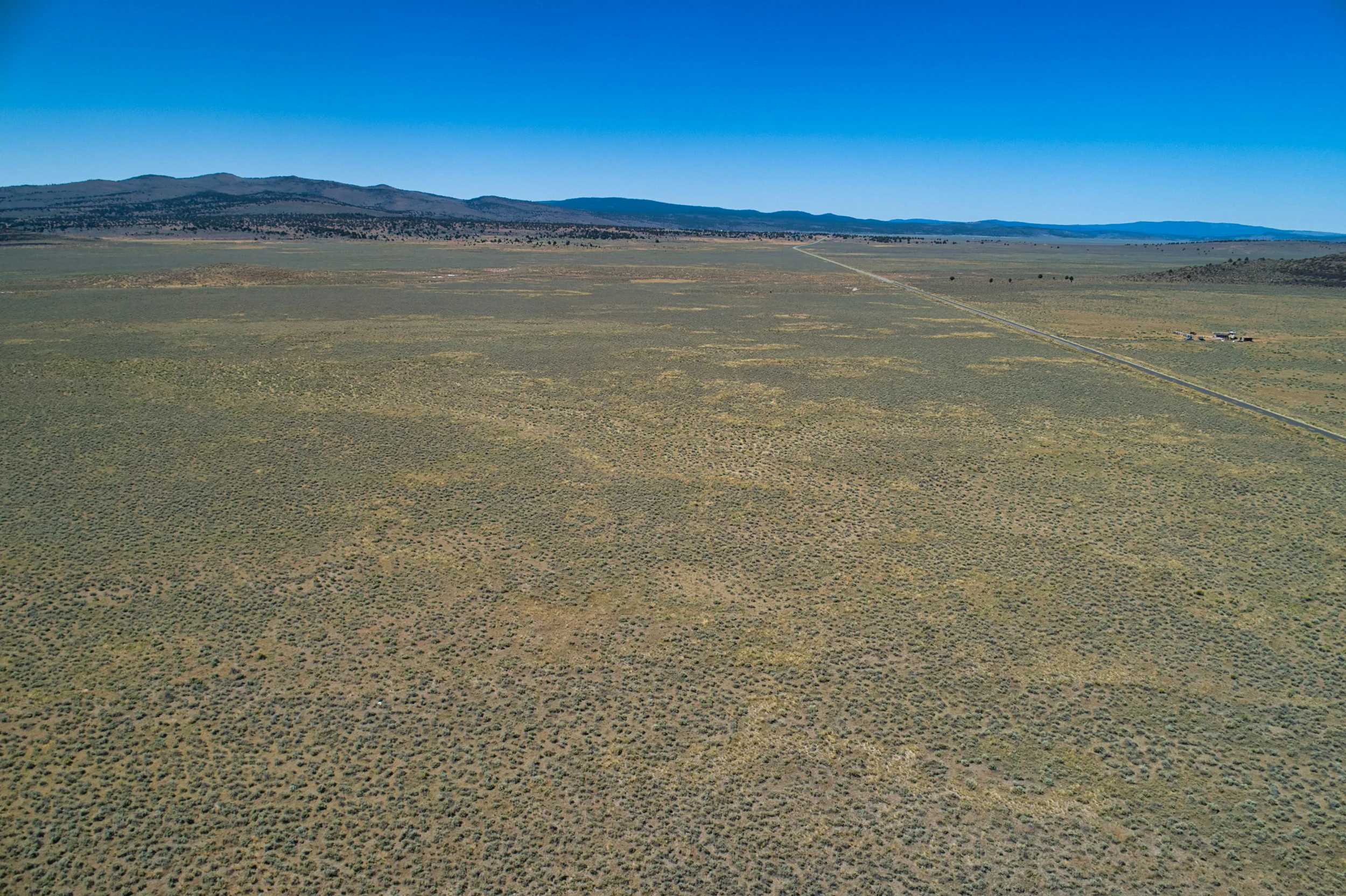 DJI_0055.jpeg