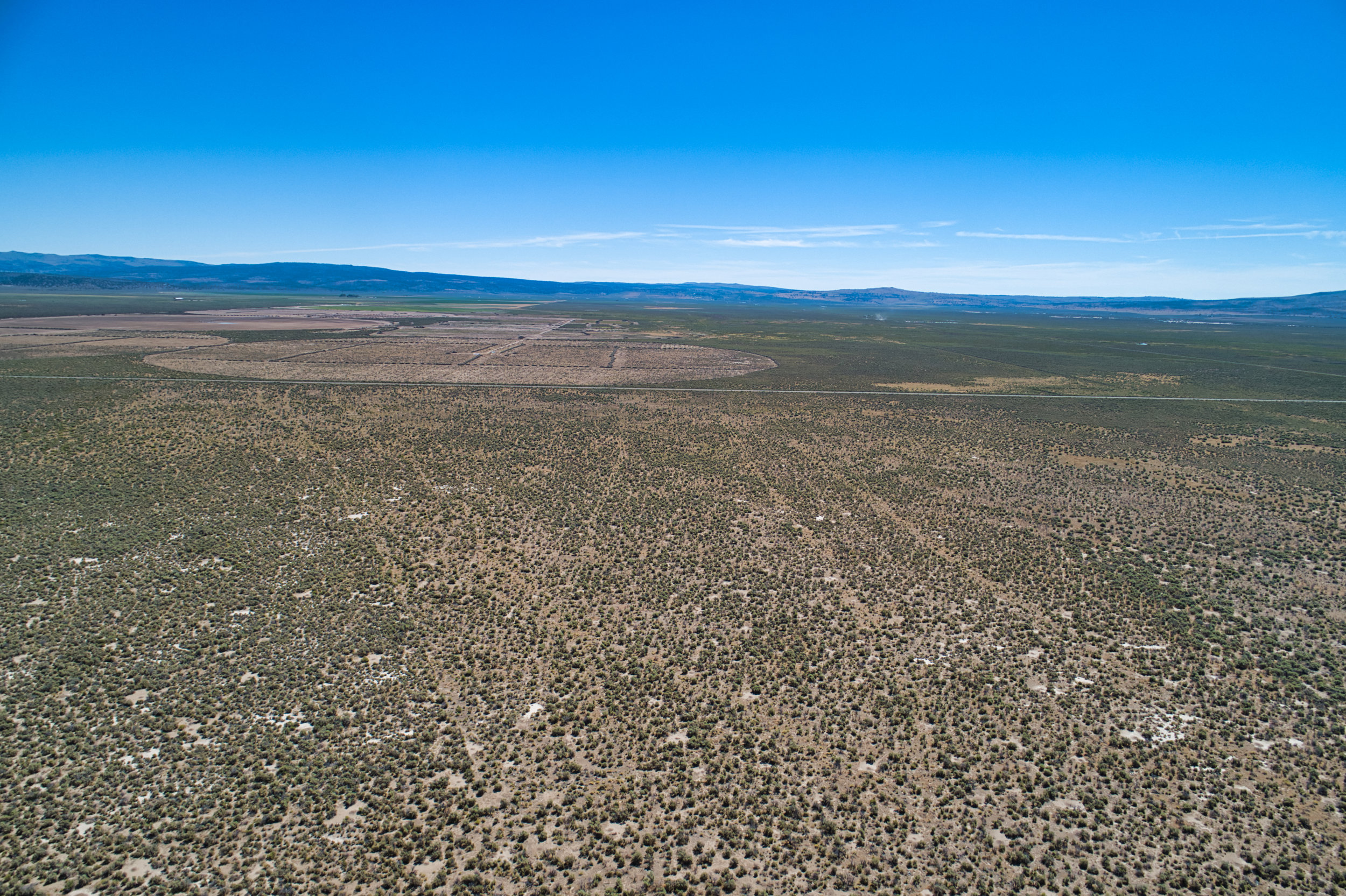 DJI_0044.jpeg