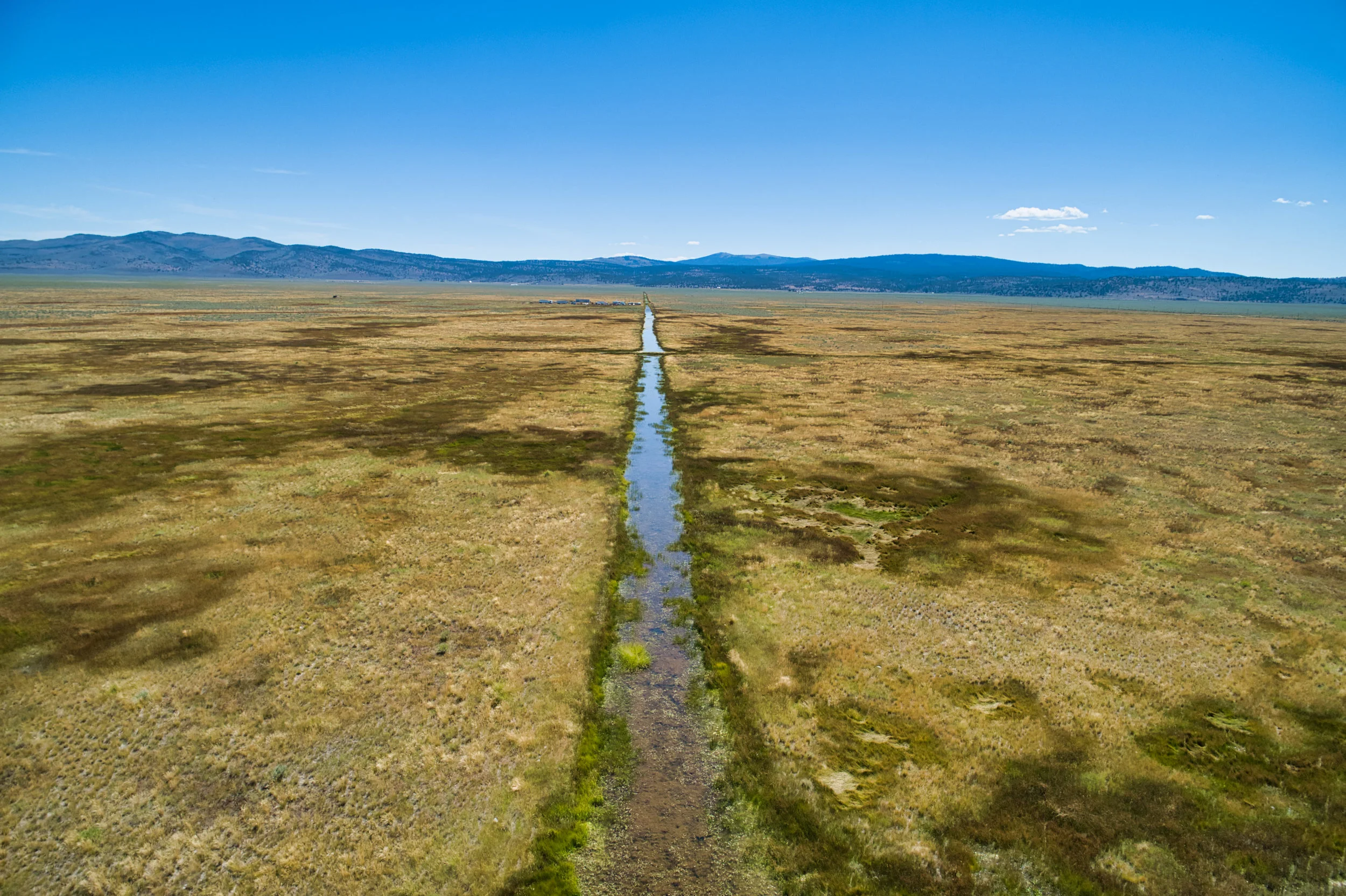 20.1 Acre Hemp Acreage With Canal