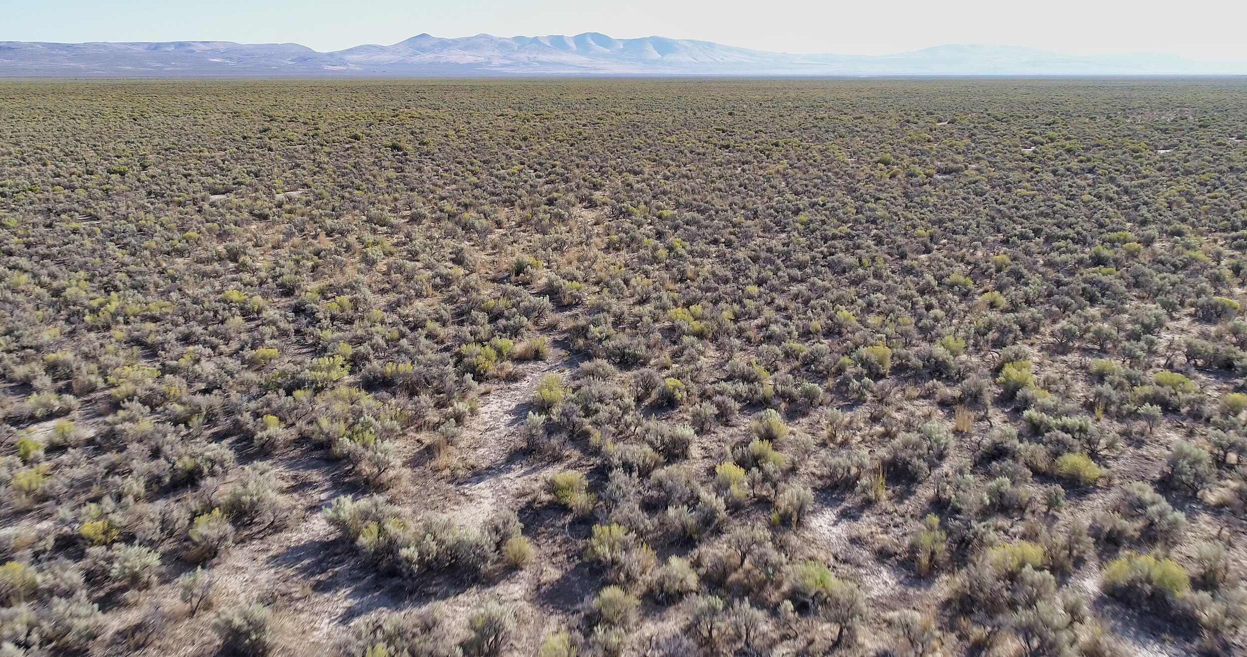 DJI_0048.JPG