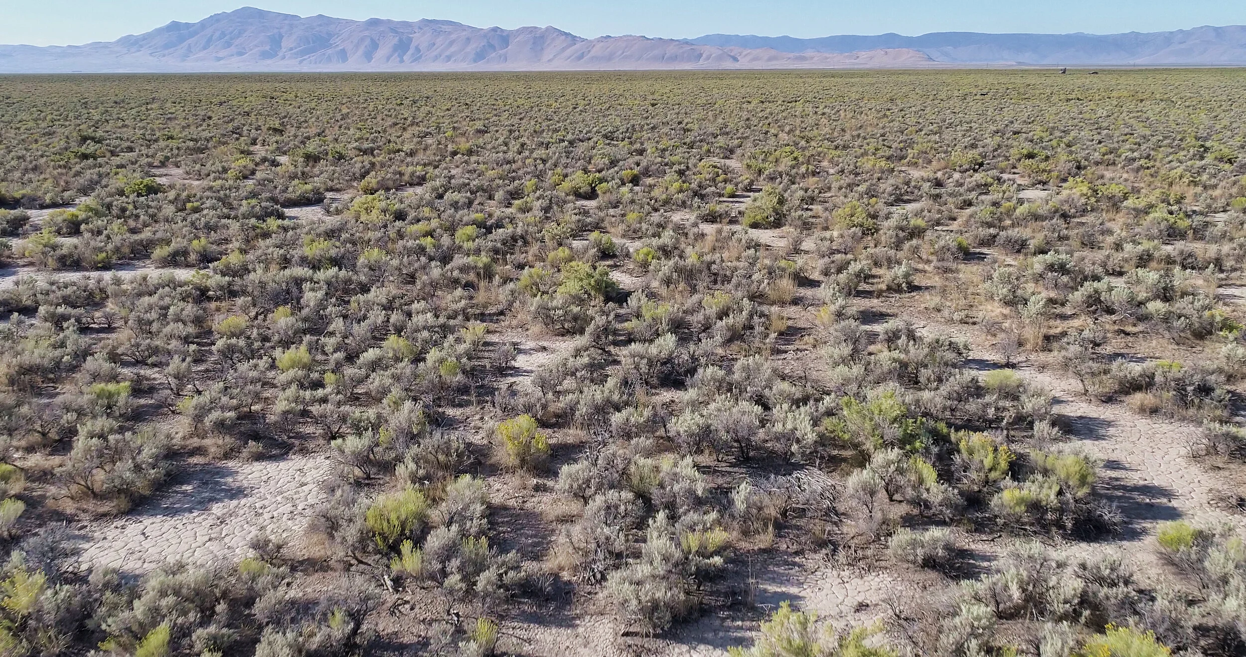 DJI_0051.JPG