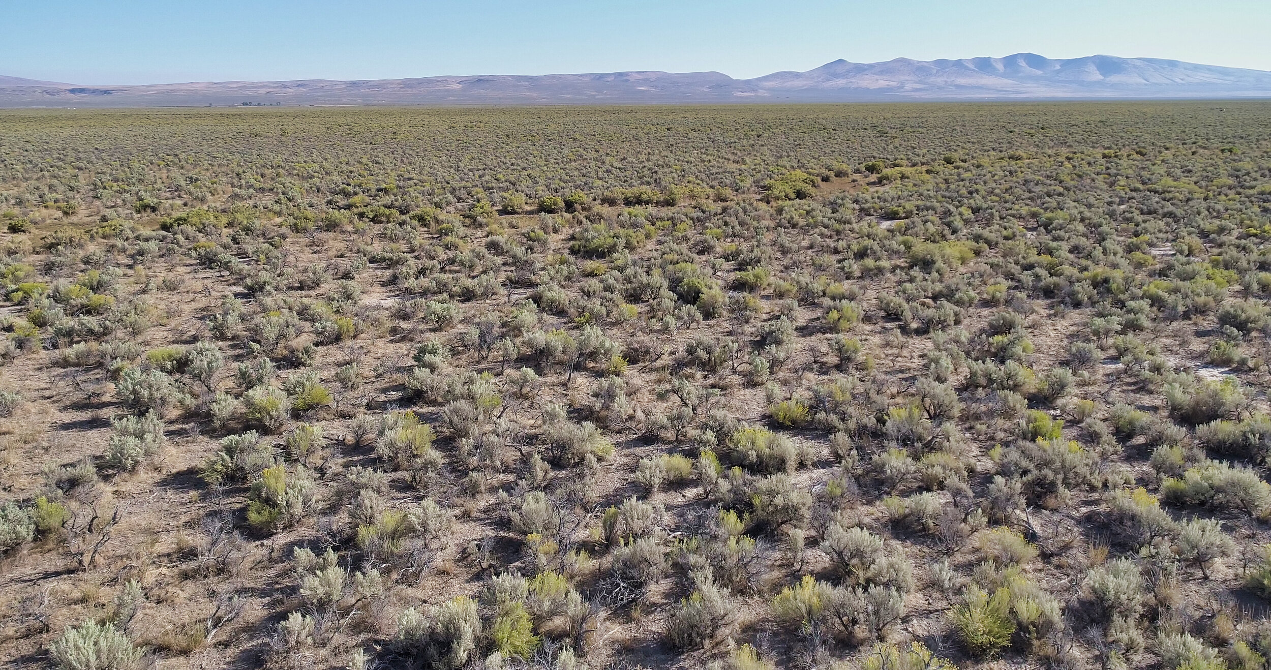 DJI_0083.JPG