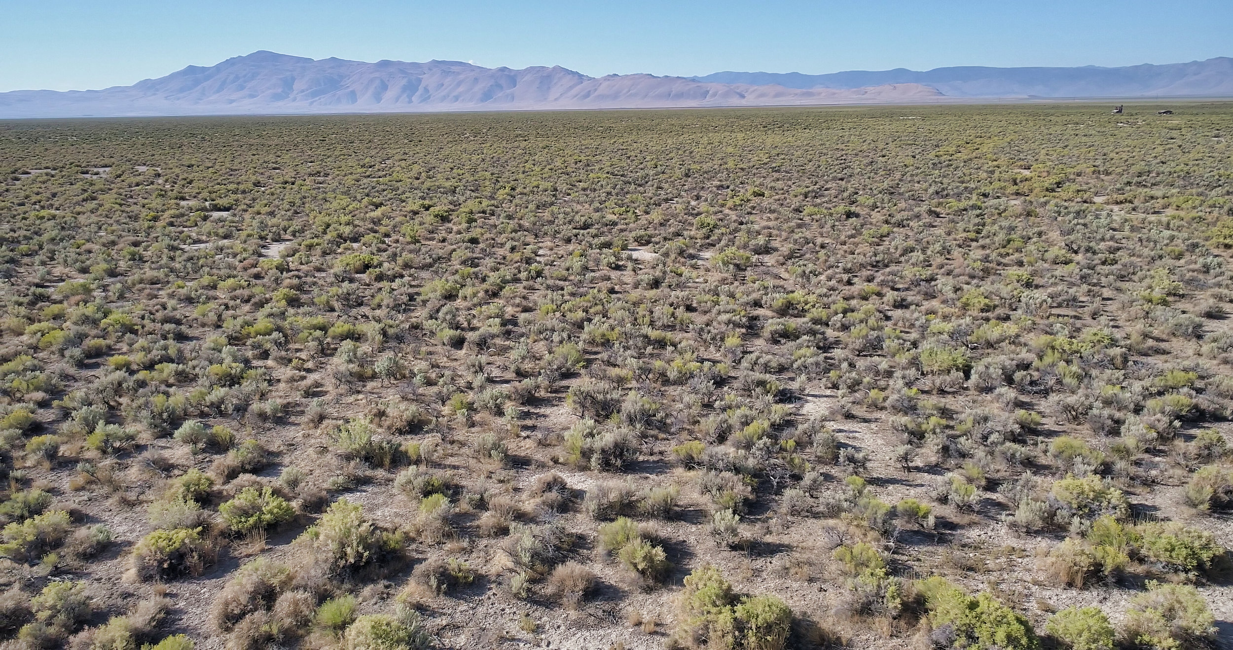 160 ACRES HOLLYWOOD HEMP MONSTER