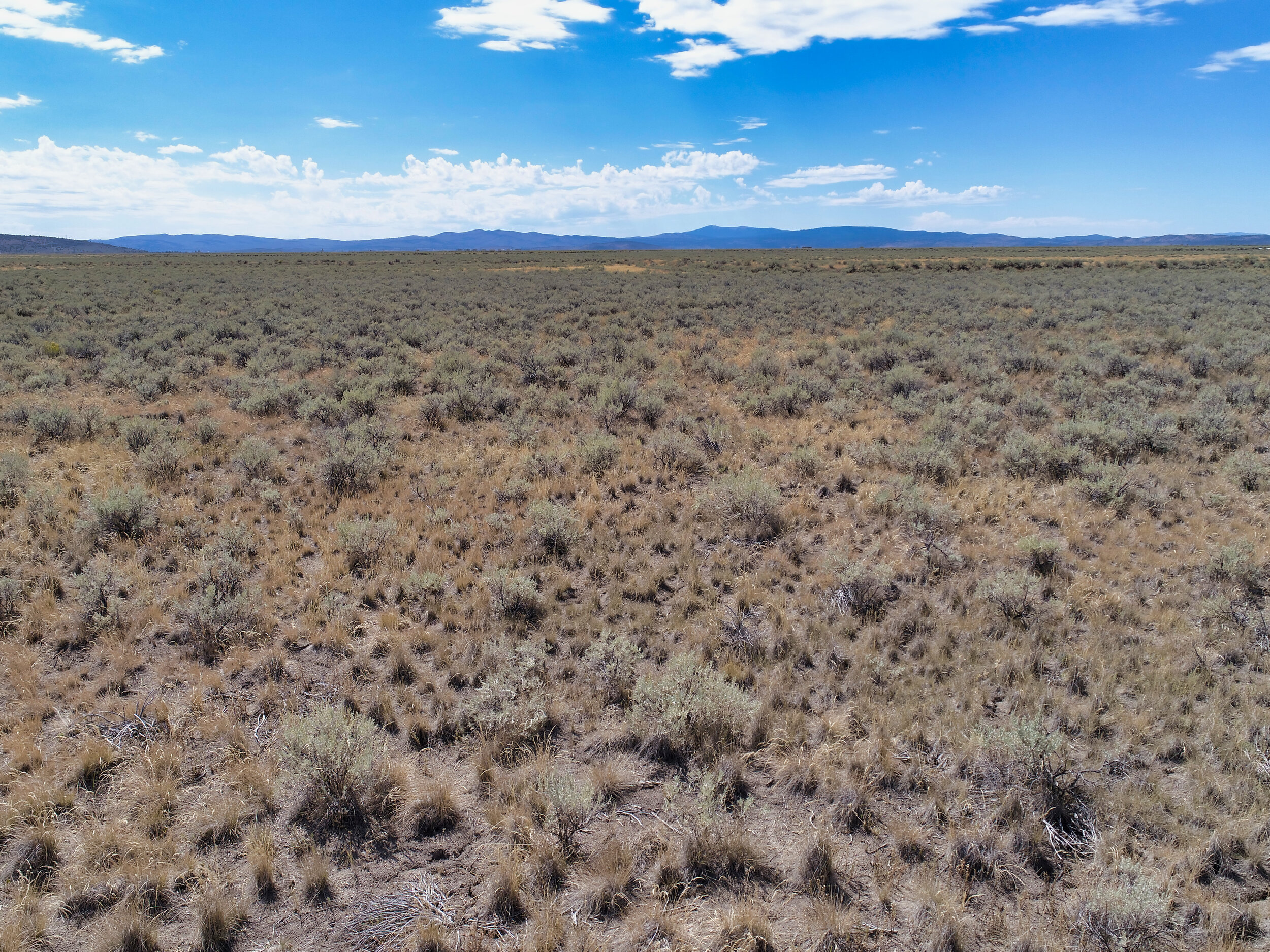 DJI_0107.JPG