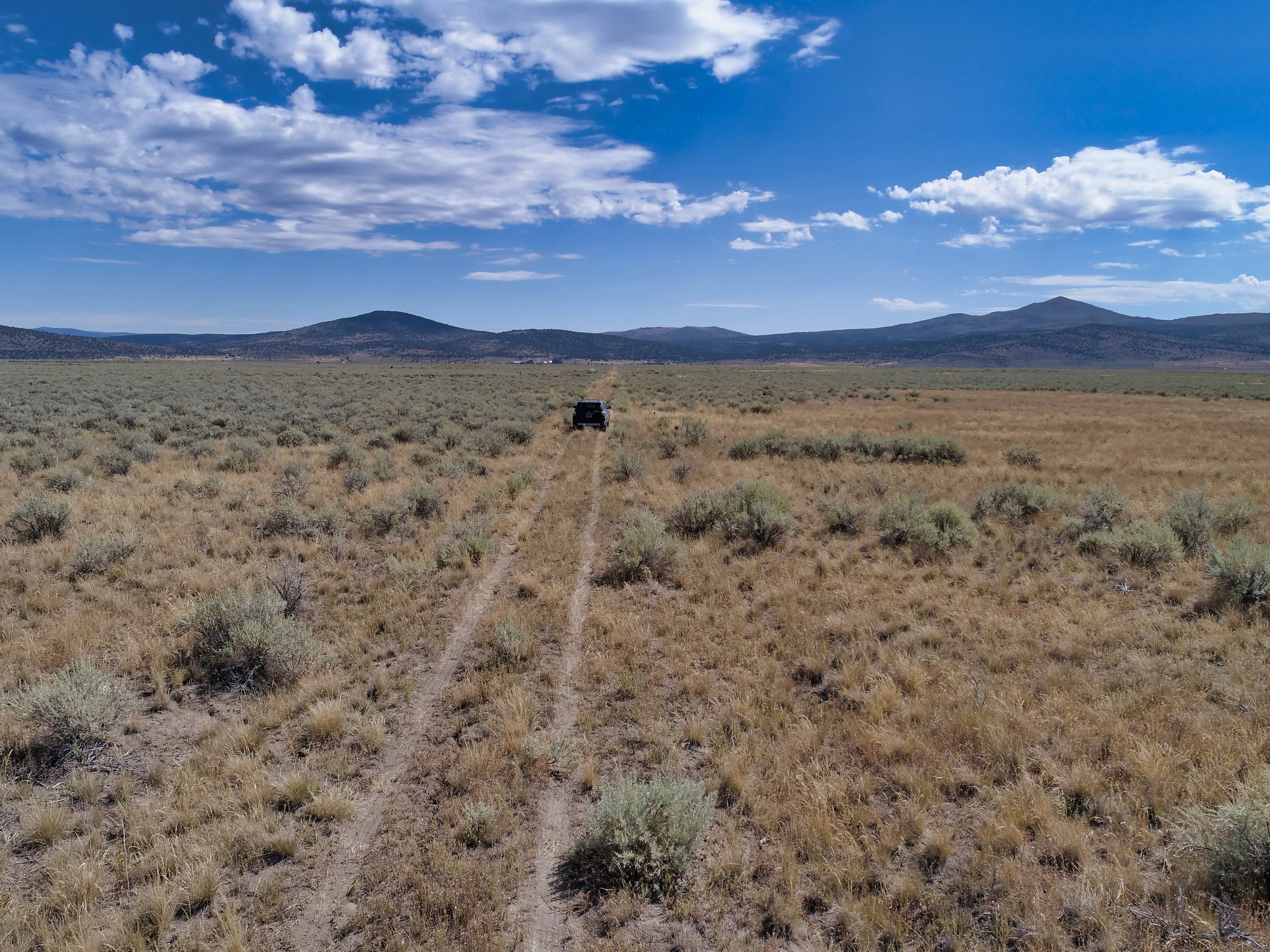 19.9 ACRES MADELINE VALLEY HEMP KINGDOM
