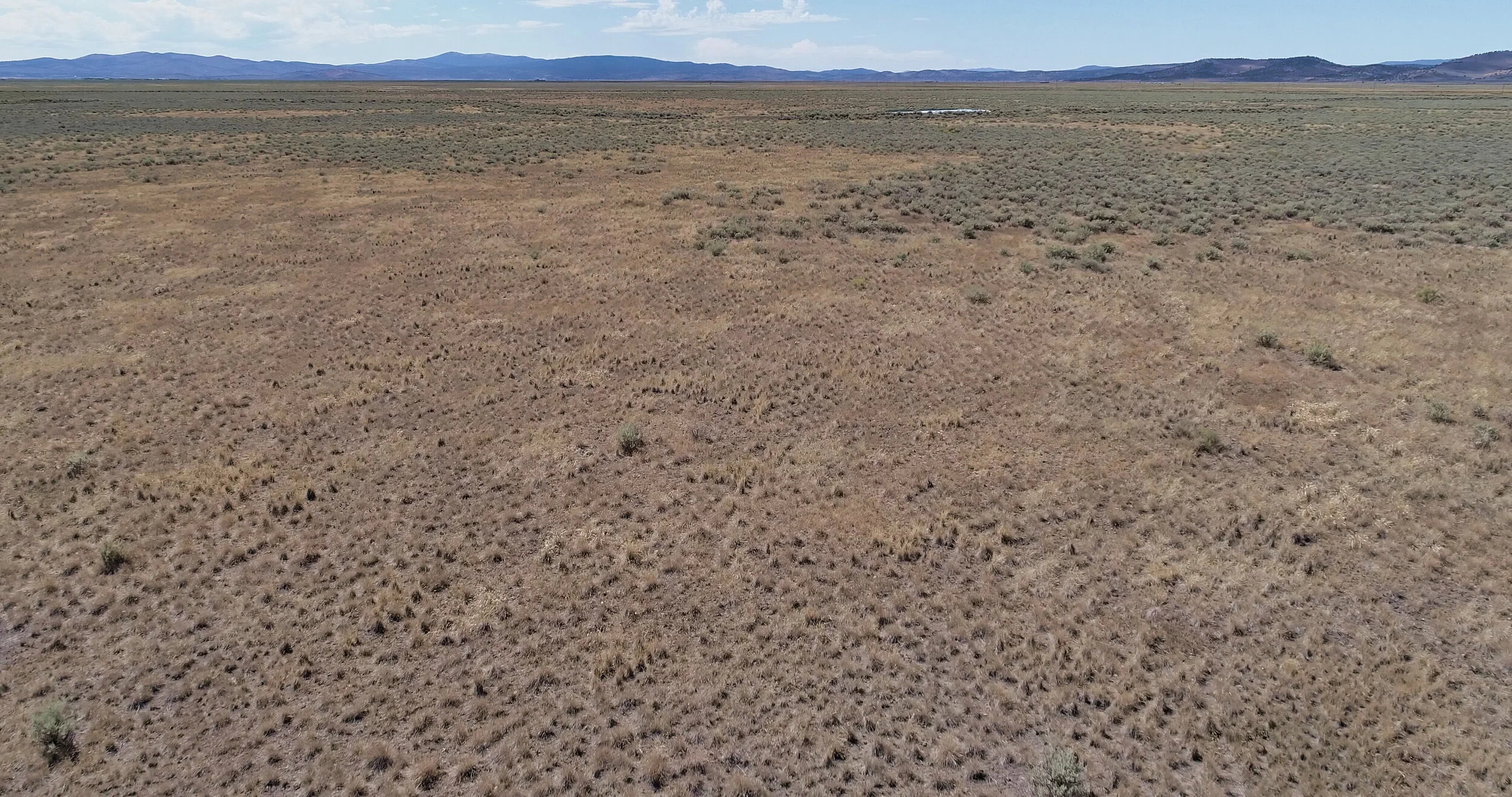 DJI_0144.JPG