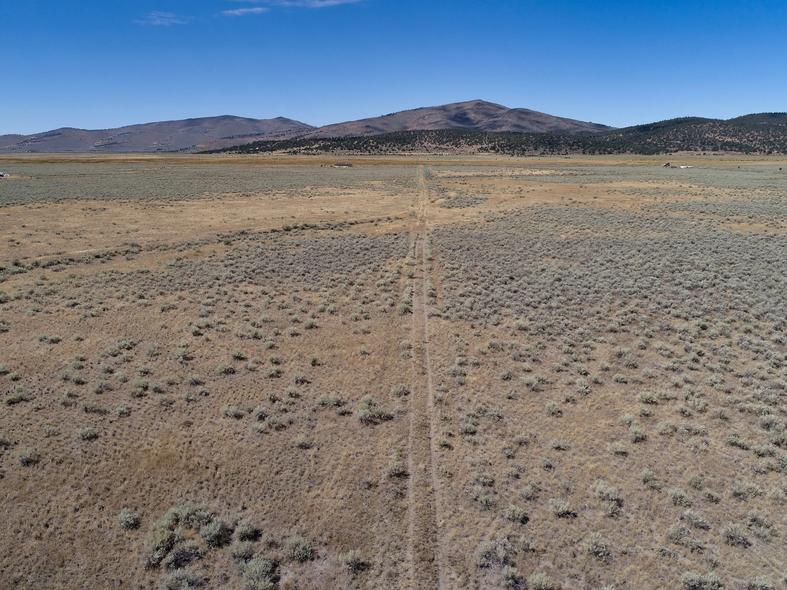 DJI_0166.JPG