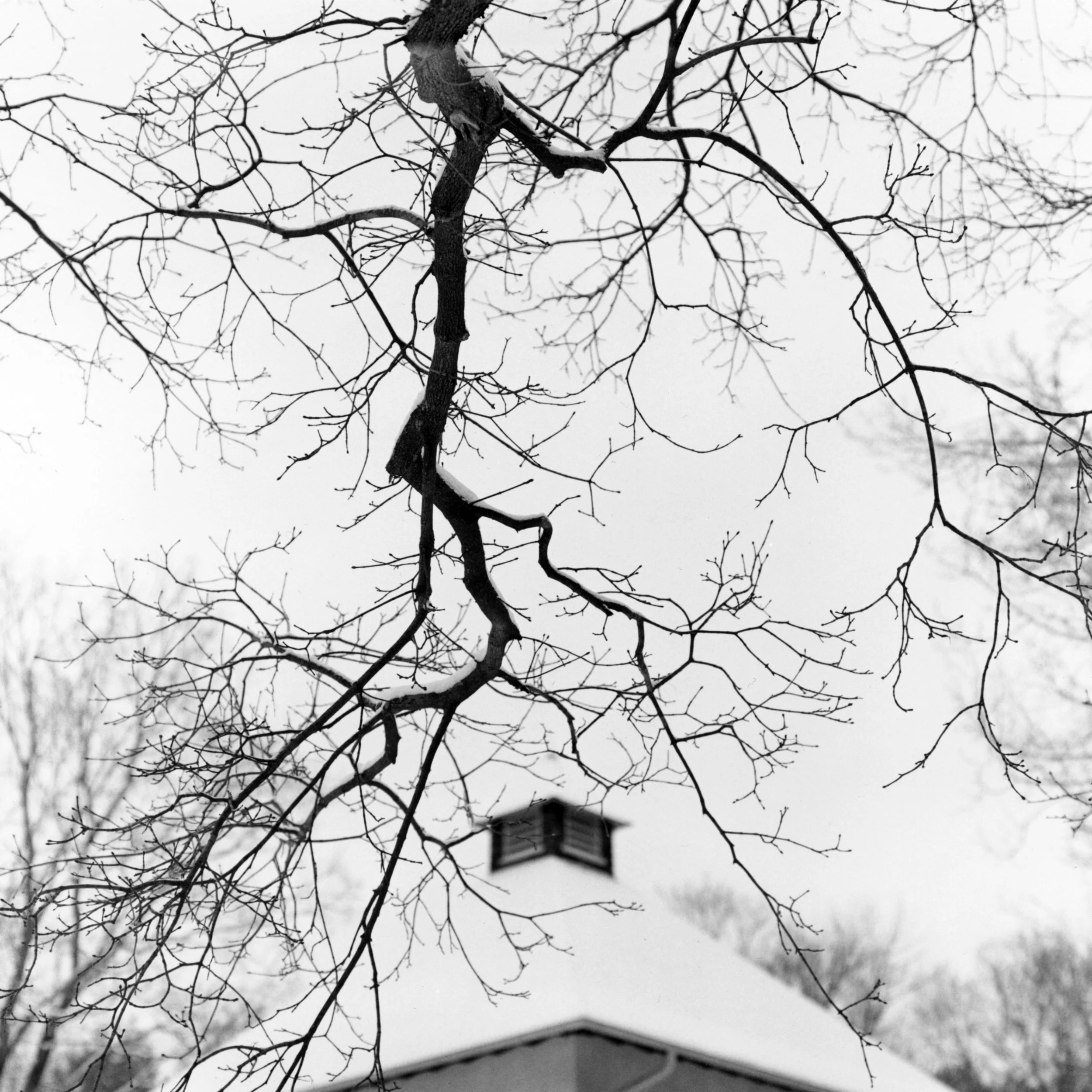 Chesterwood_Roof.jpg