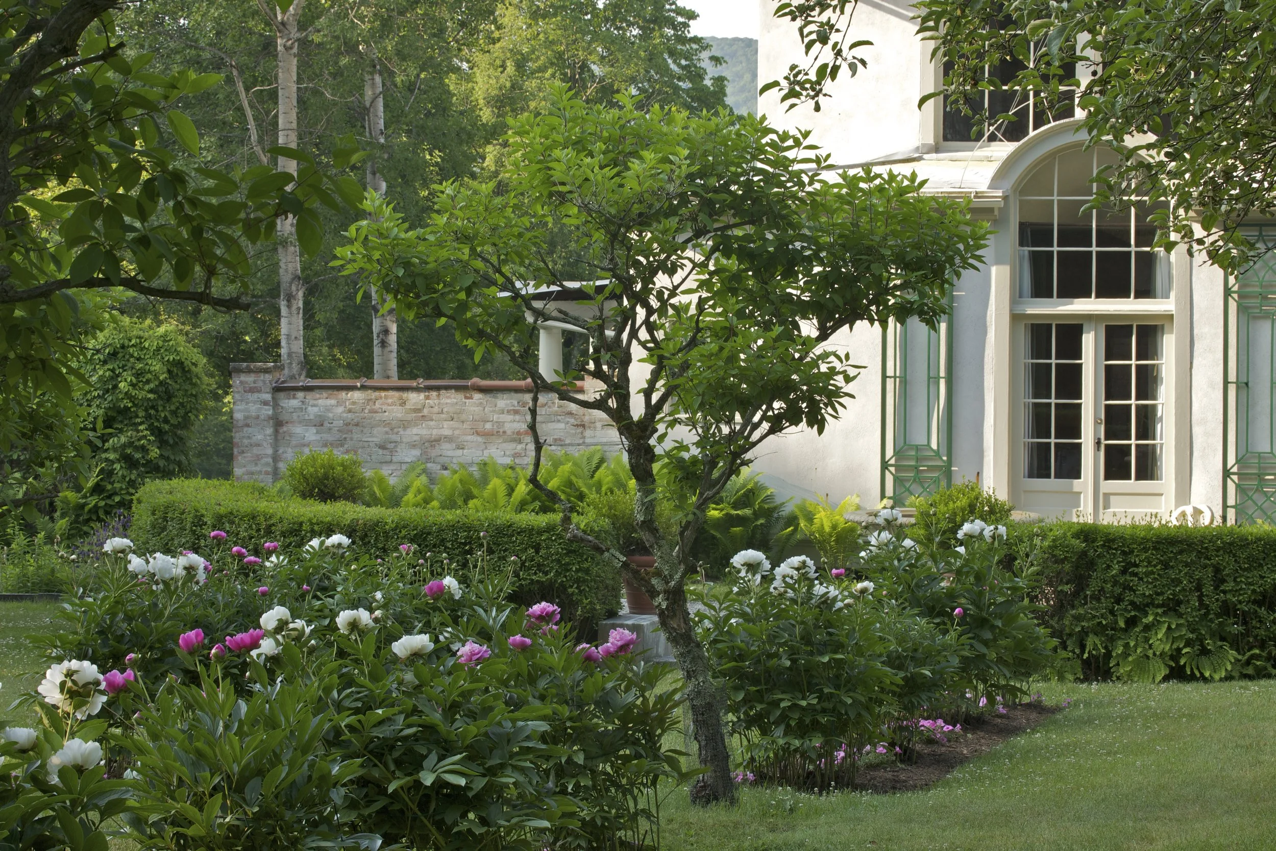 Peonies and Studio_photo Paul Rocheleau.jpg