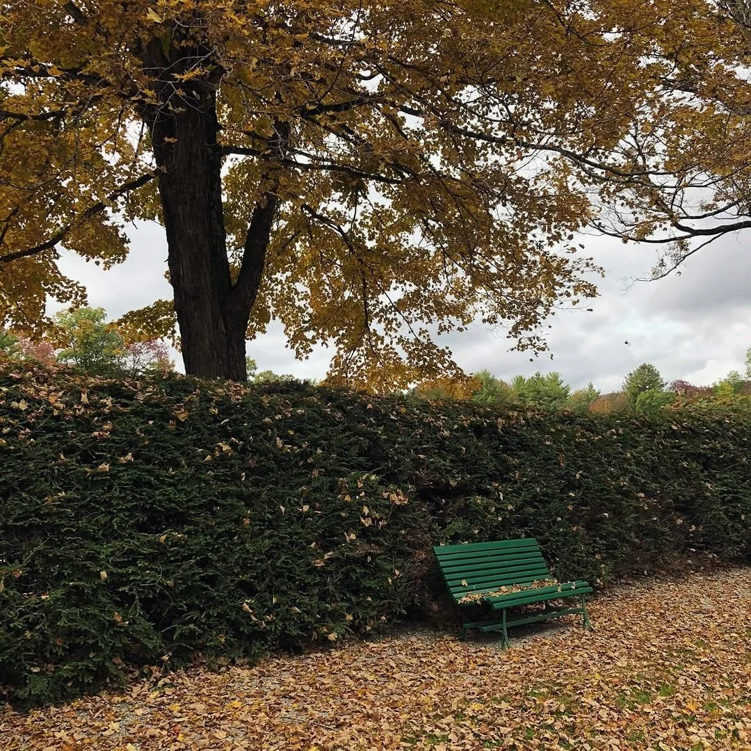 It&rsquo;s so beautiful here in the fall that sometimes it&rsquo;s hard to believe the French family left Chesterwood each October! 
🍂
Here is a lovely photo of from the Studio Garden for your fall delight!