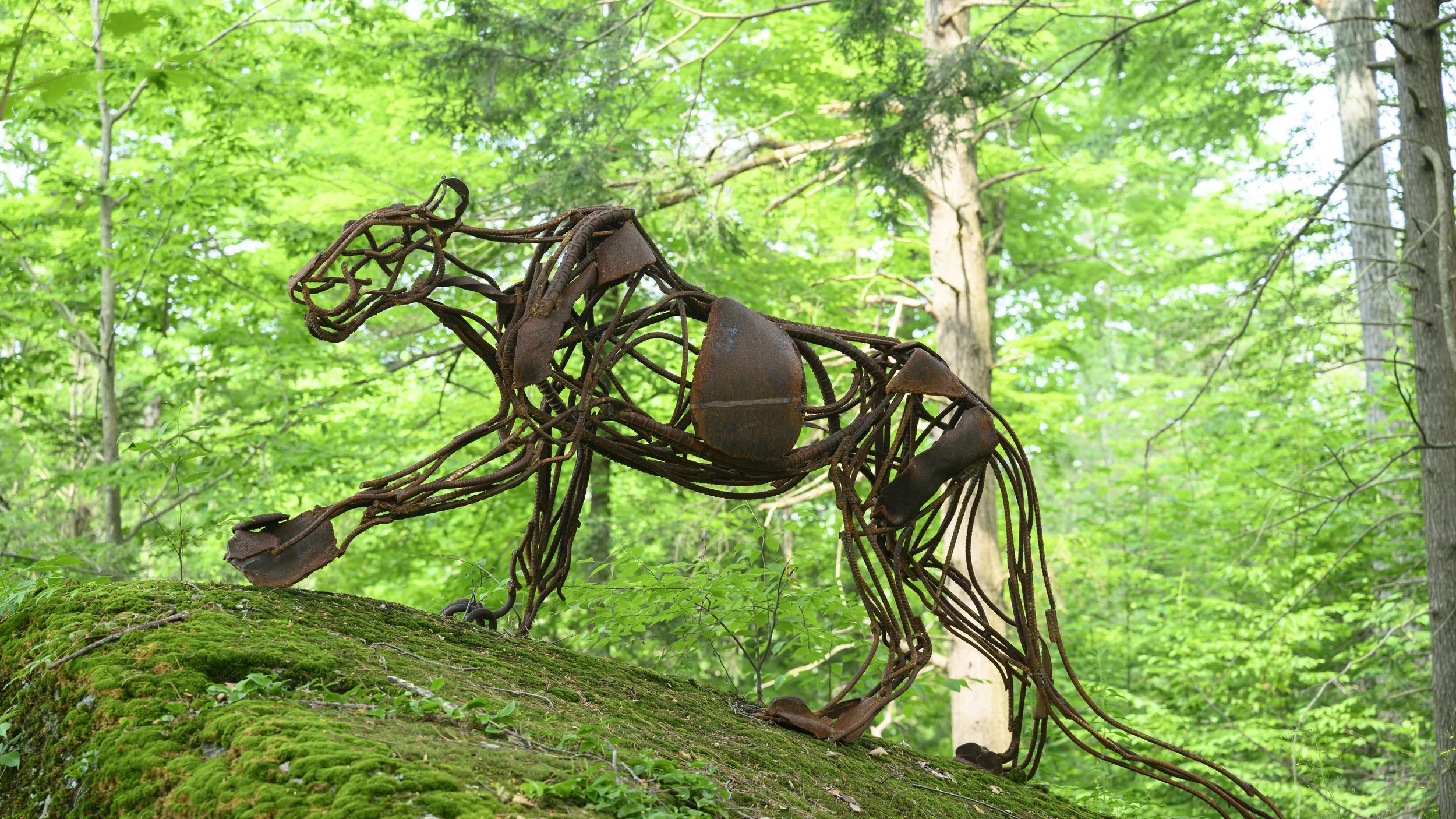 Exhibitions Page Hero Image Mar 2026 - Klemperer.jpg