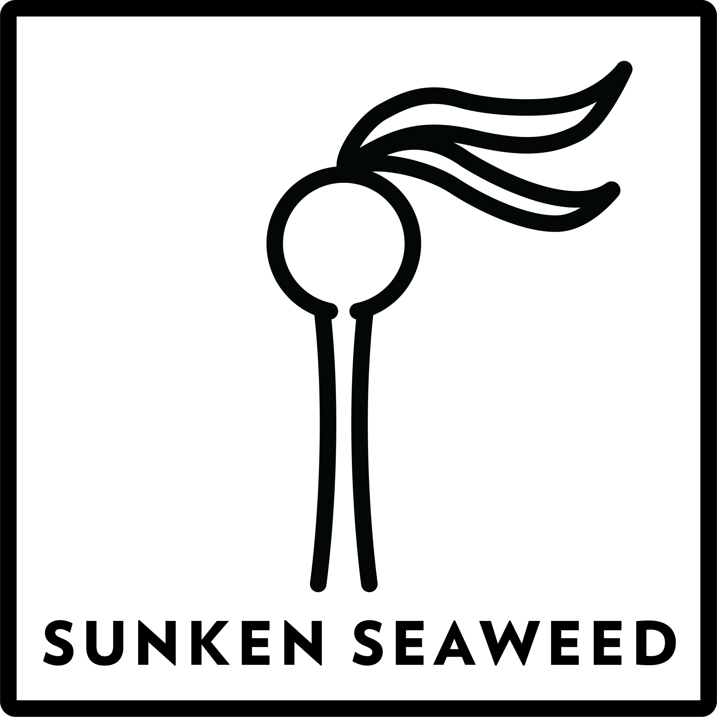 Sunken Seaweed