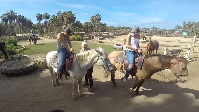 Fun With Kaia's Horses