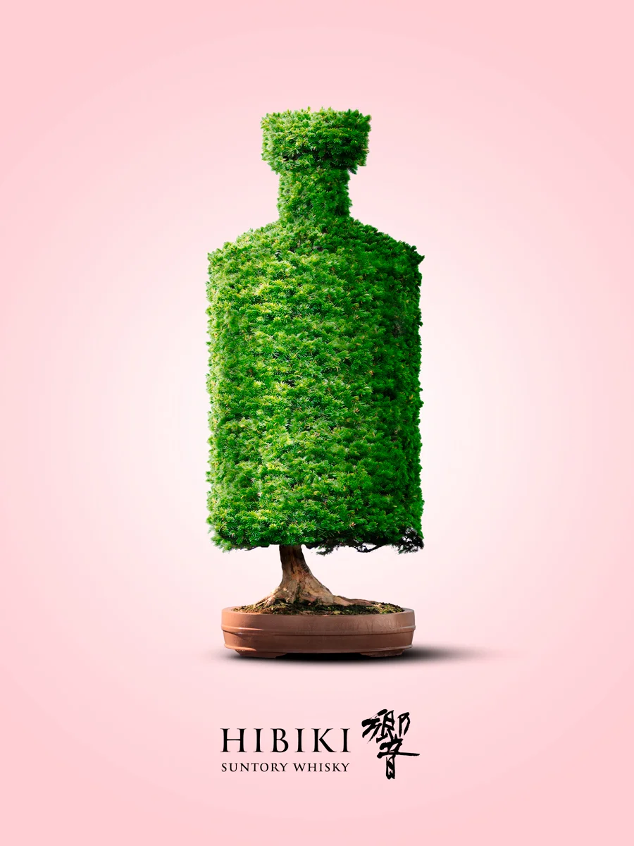 hibaki-bonzai-3-web-1.jpg