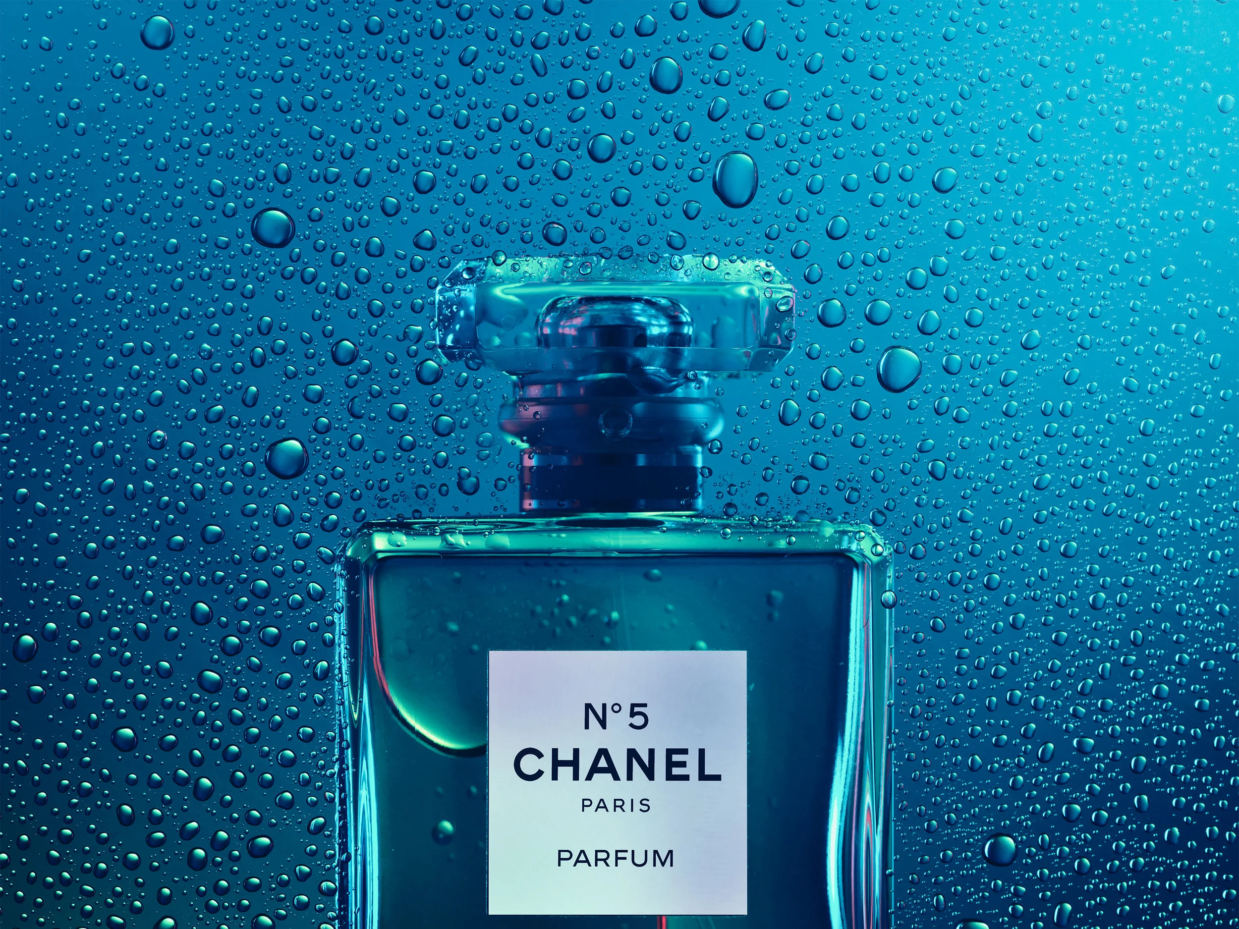 chanel-from-below-3.jpg