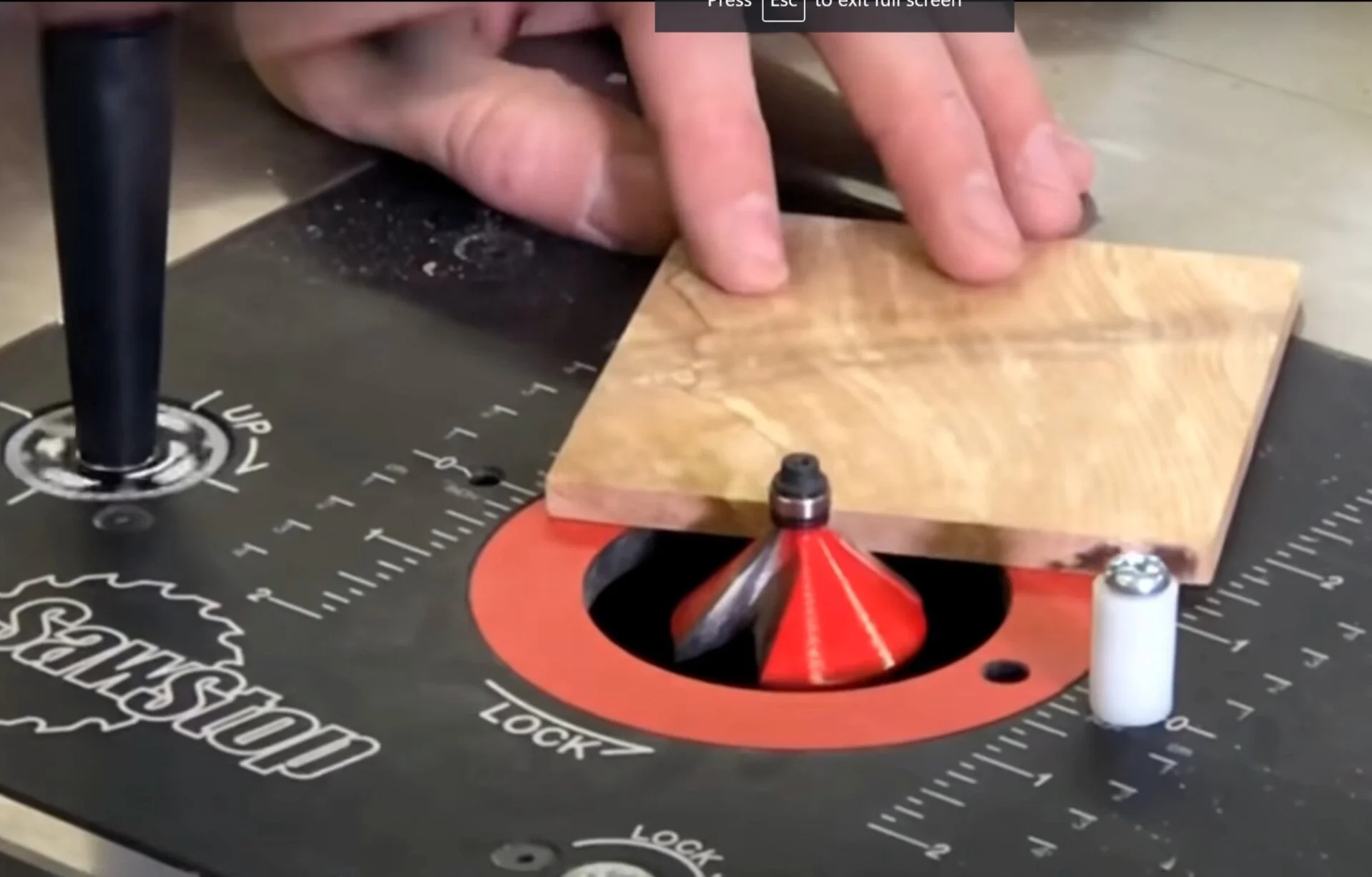 DIY Projects, Live Edge Coasters — Blacktail Studio