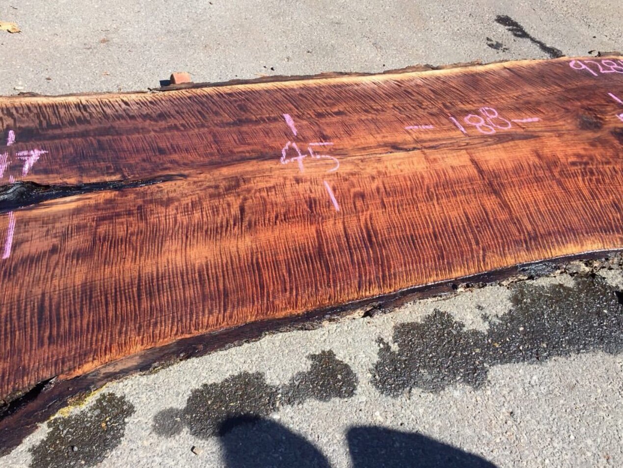 Buying Live Edge Wood Best Deals On Live Edge Near Me You Live