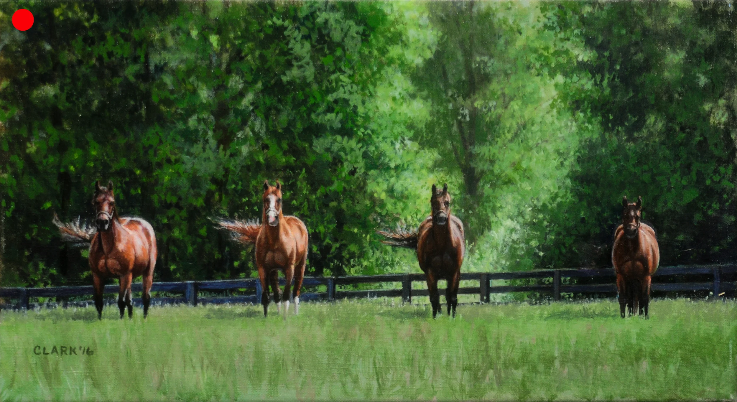 Foundation mares