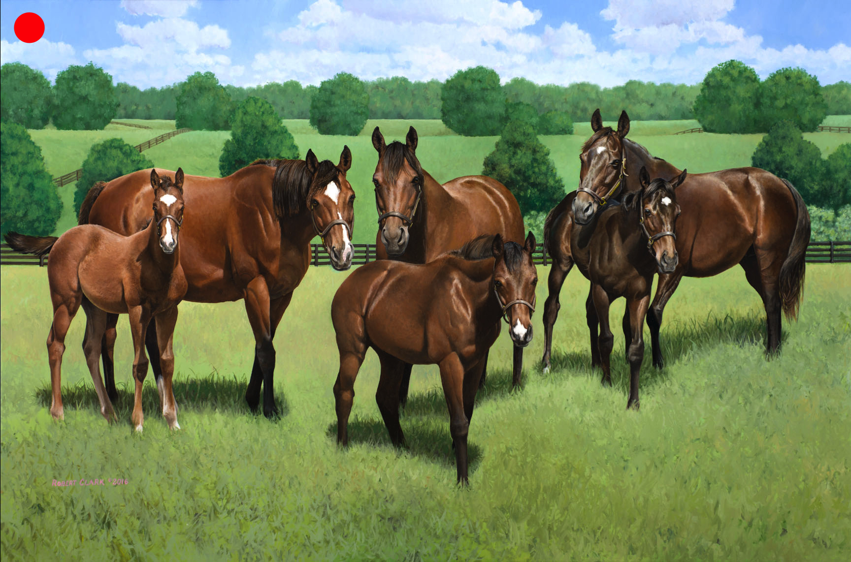 Whisper Hill mares