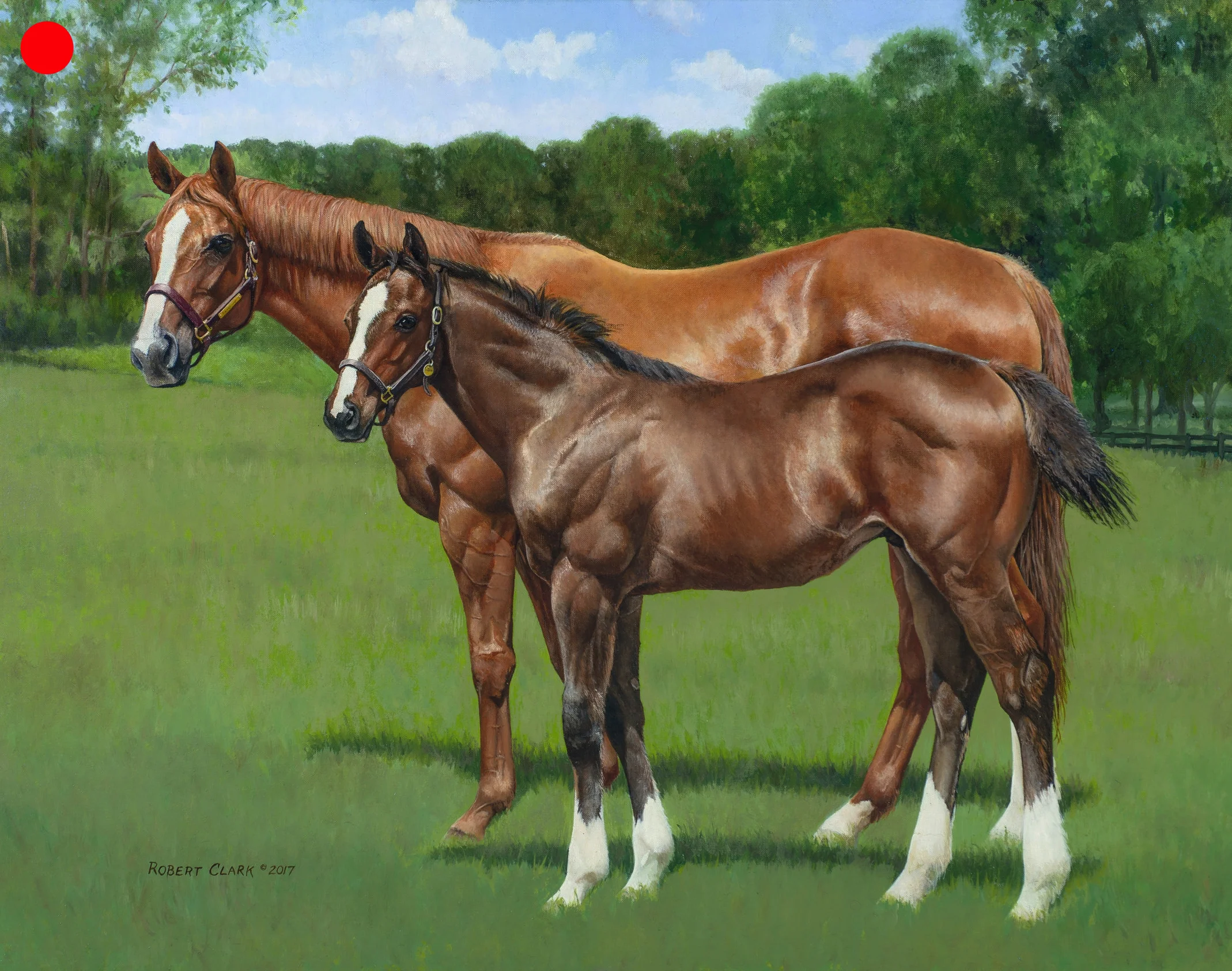 Littleprincessemma and colt by Pioneer of The Nile