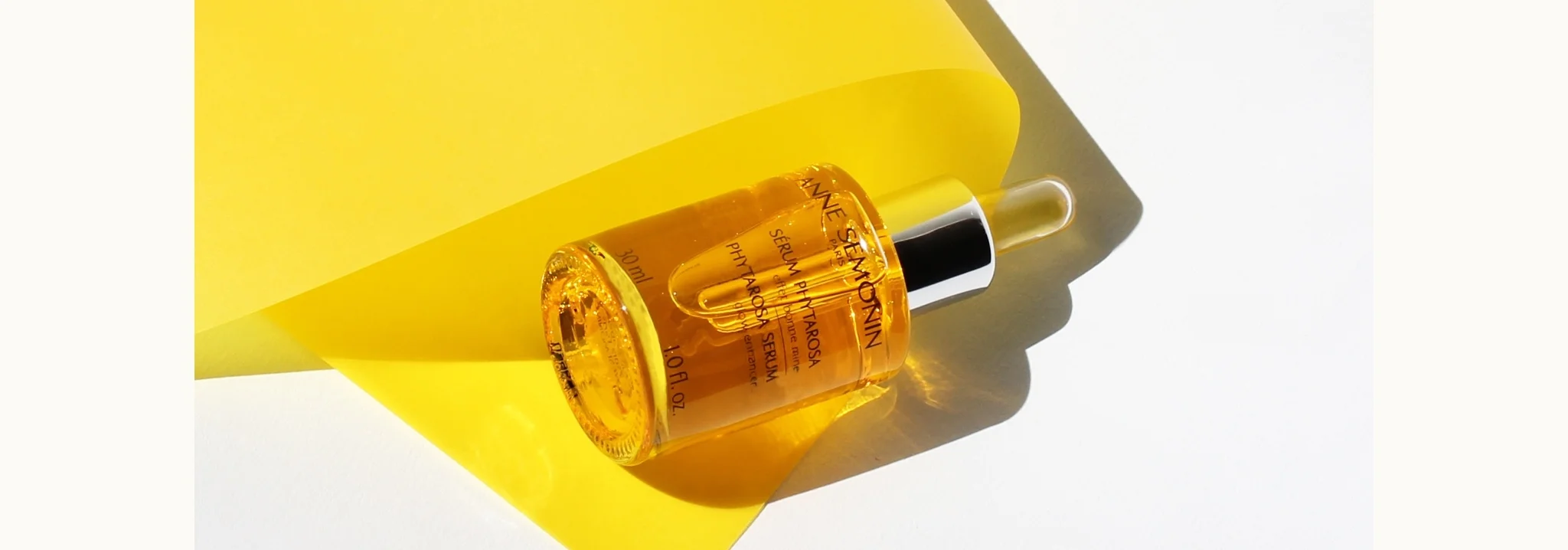 Anne Semonin  Copy.jpg