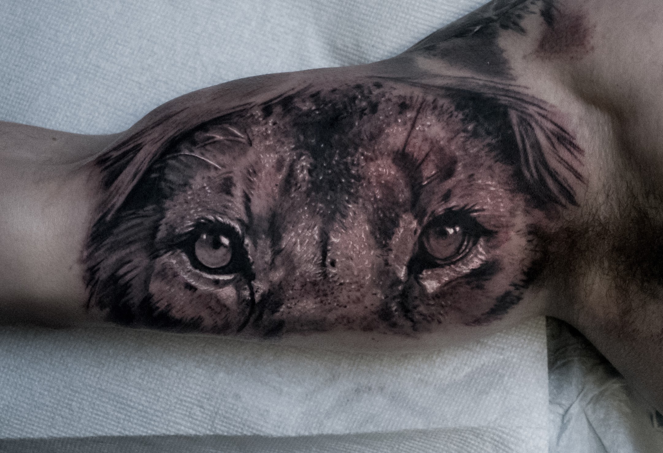 Photorealistic tiger eyes tattoo by Scoot Ink