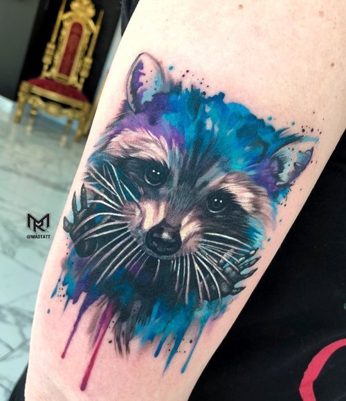 Colour realistic racoon tattoo